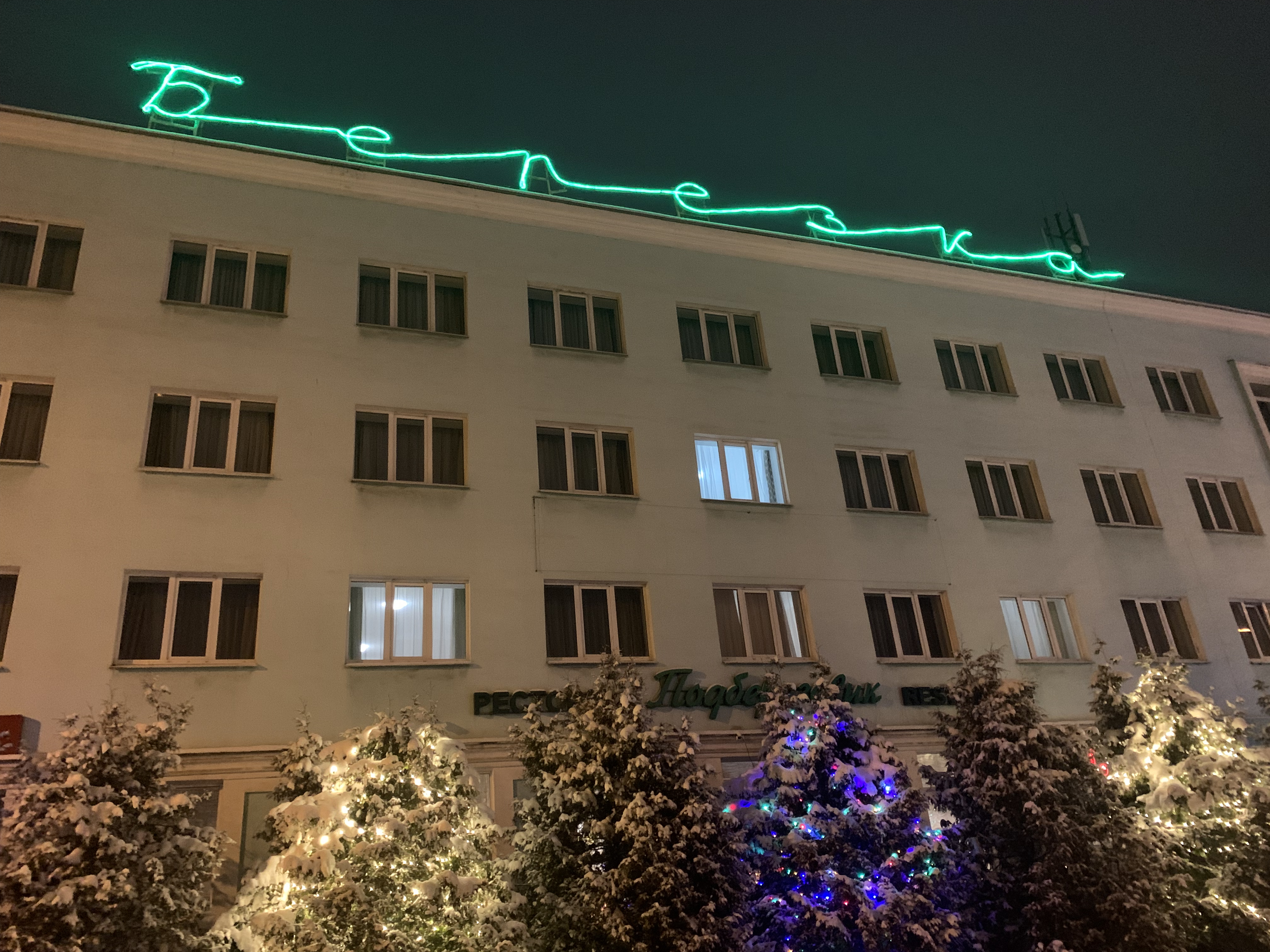 Фото Берёзка