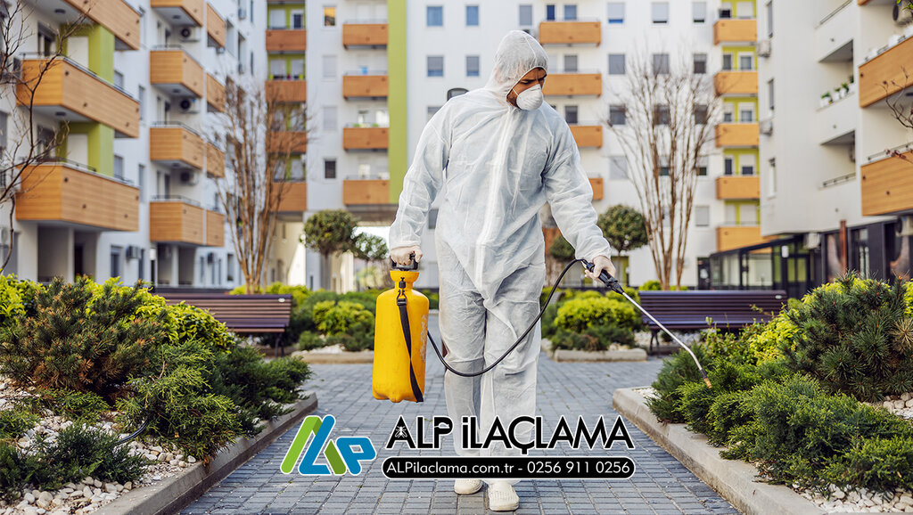 Disinfection, disinsection, deratization Alp Pest Control, Efeler, photo