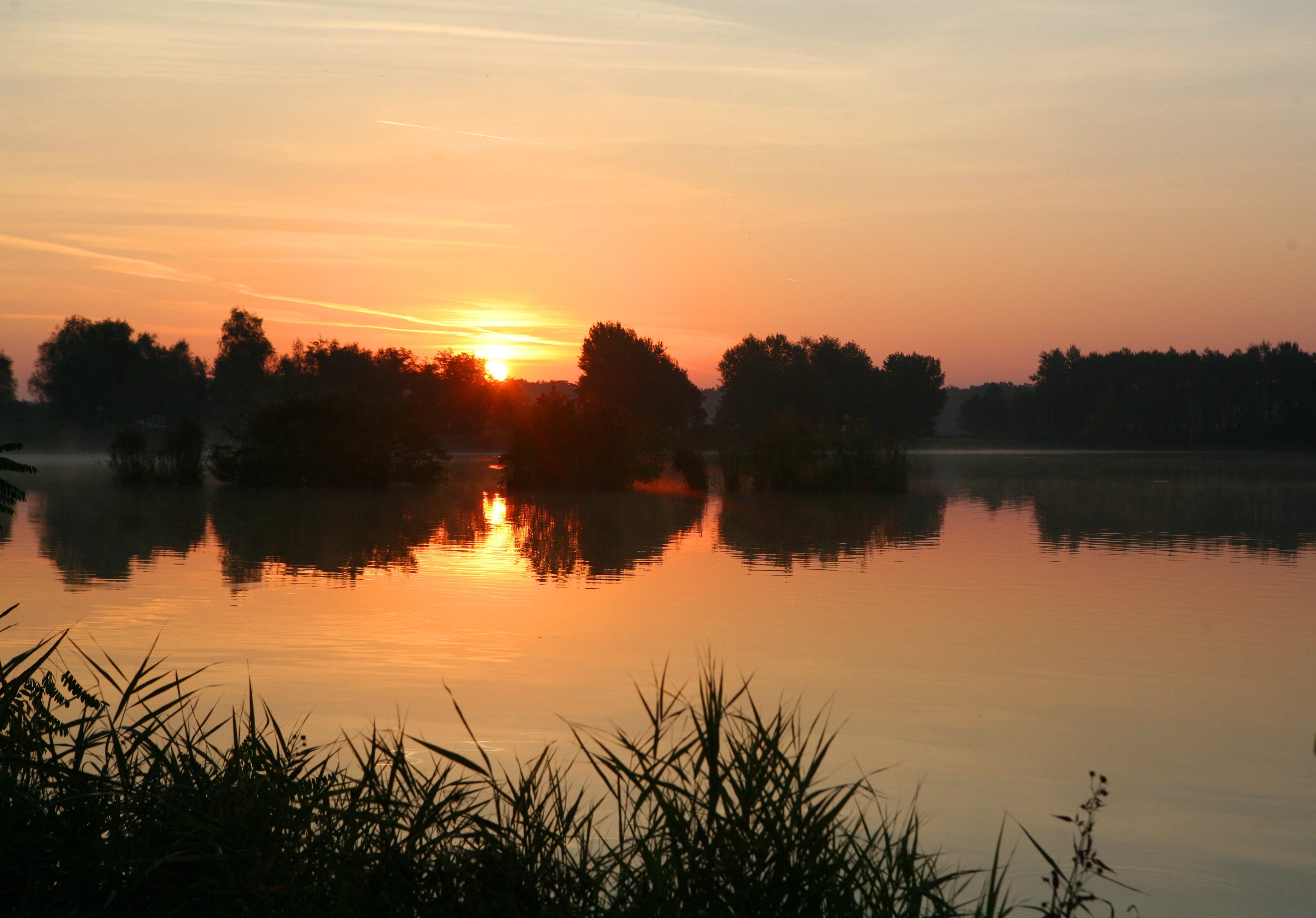 Фото Углянское