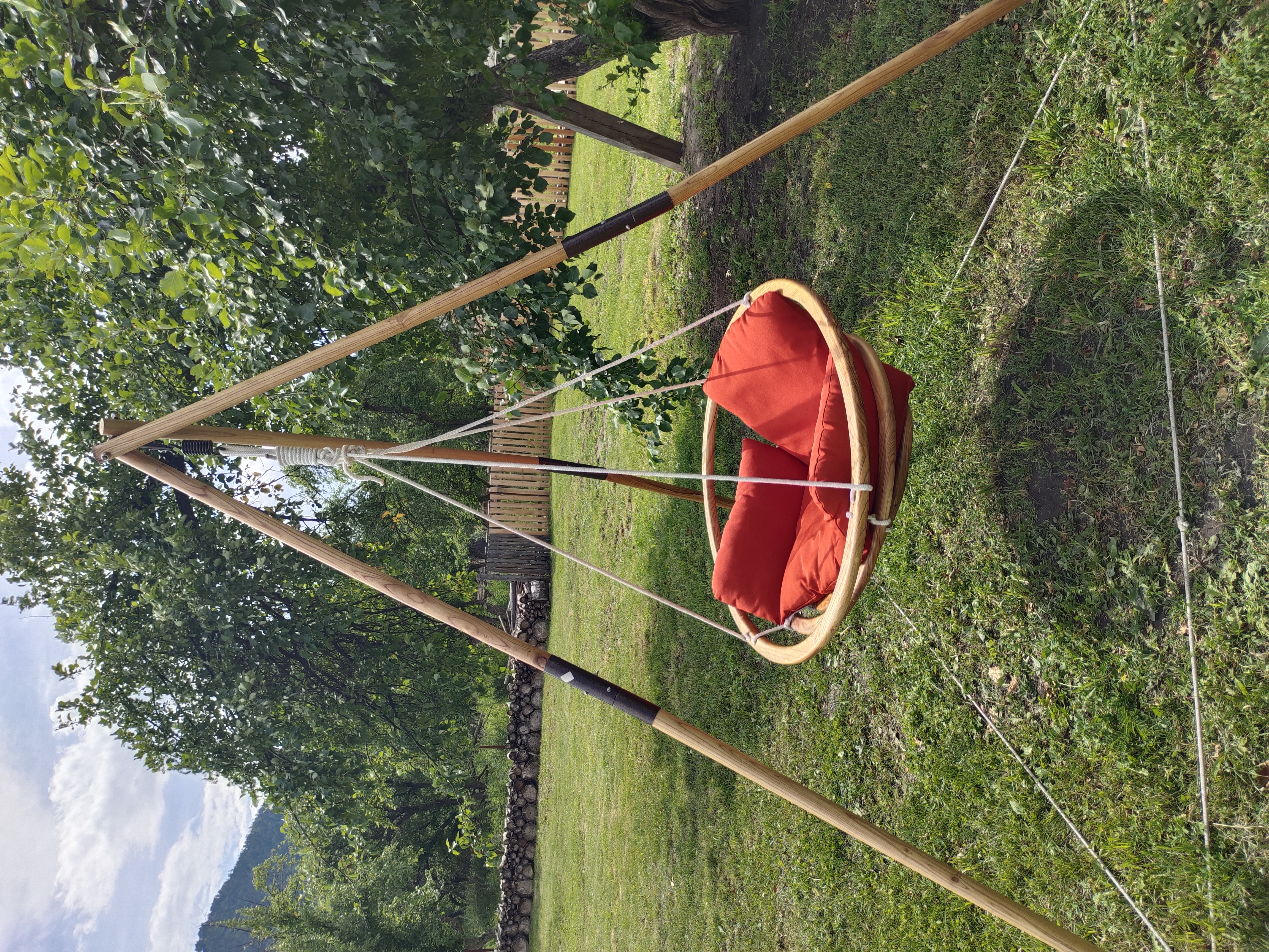 Фото Золотой медведь