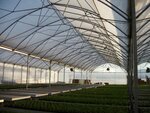 Agro-Ital-Servis (Karasunskiy City administrative district, mikrorayon Kamvolno-sukonny Kombinat, ulitsa Dezhnyova, 14), equipo de invernadero
