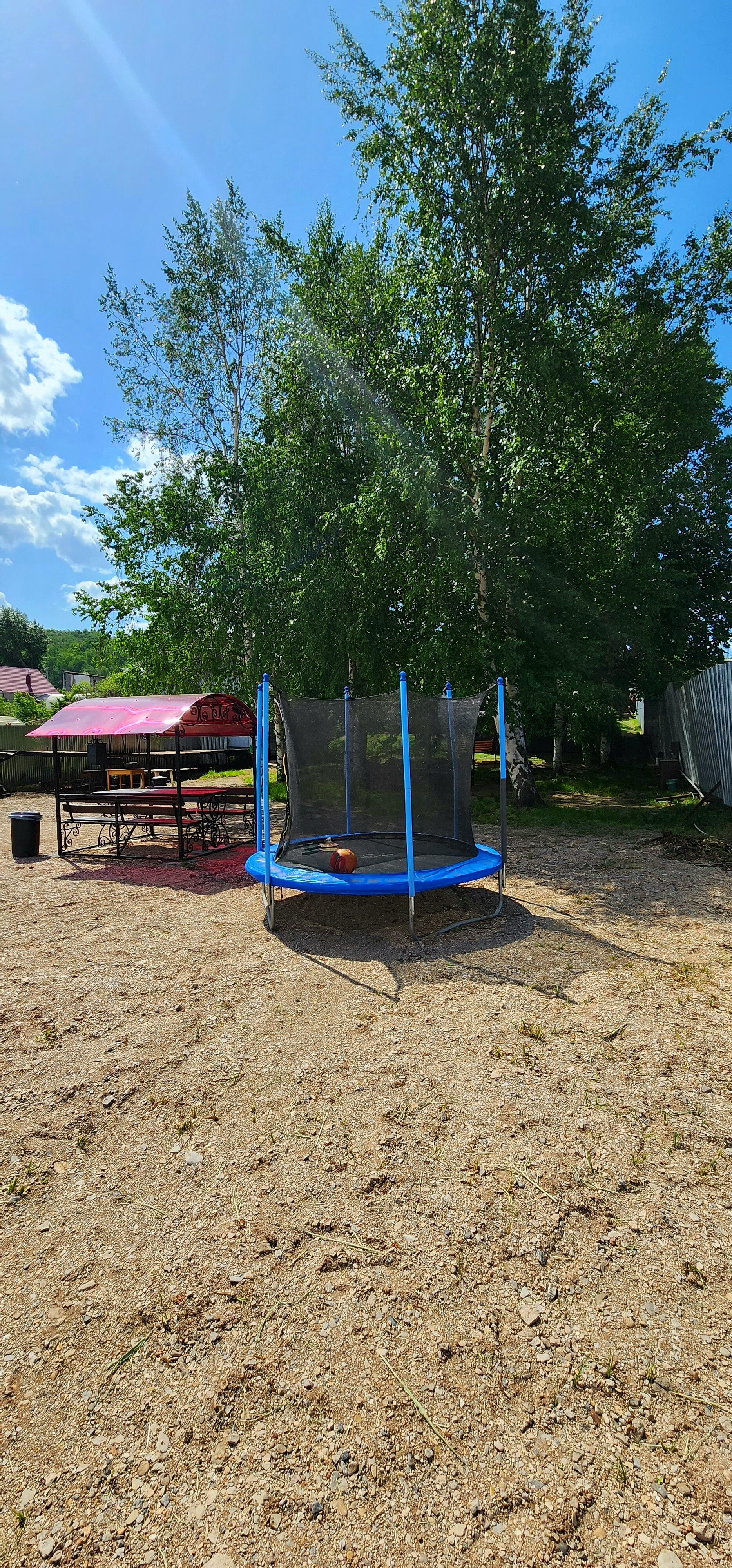 Фото Берёзка Кандрыкуль