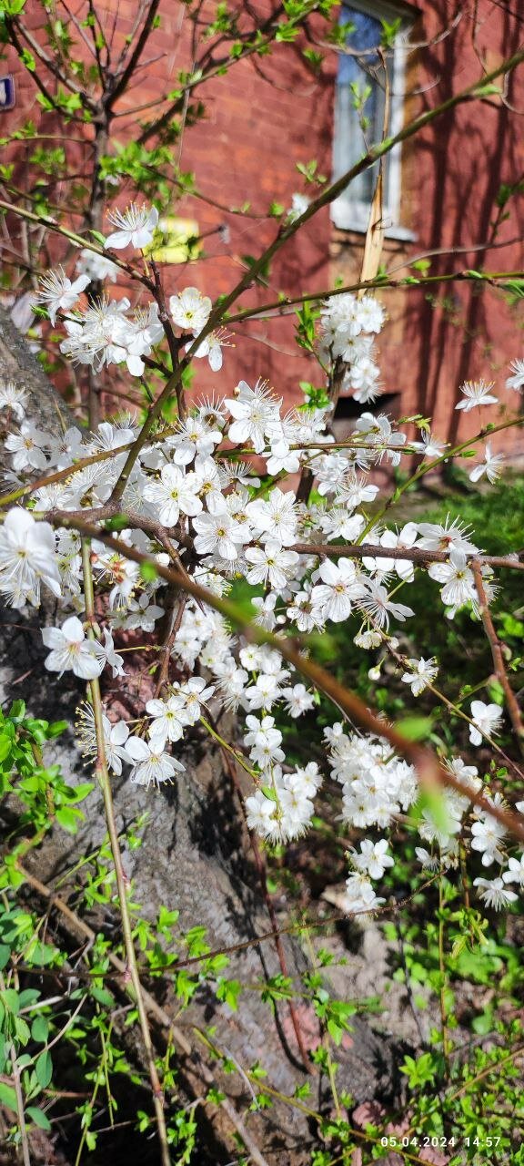 Фото Gashalti Health Hotel