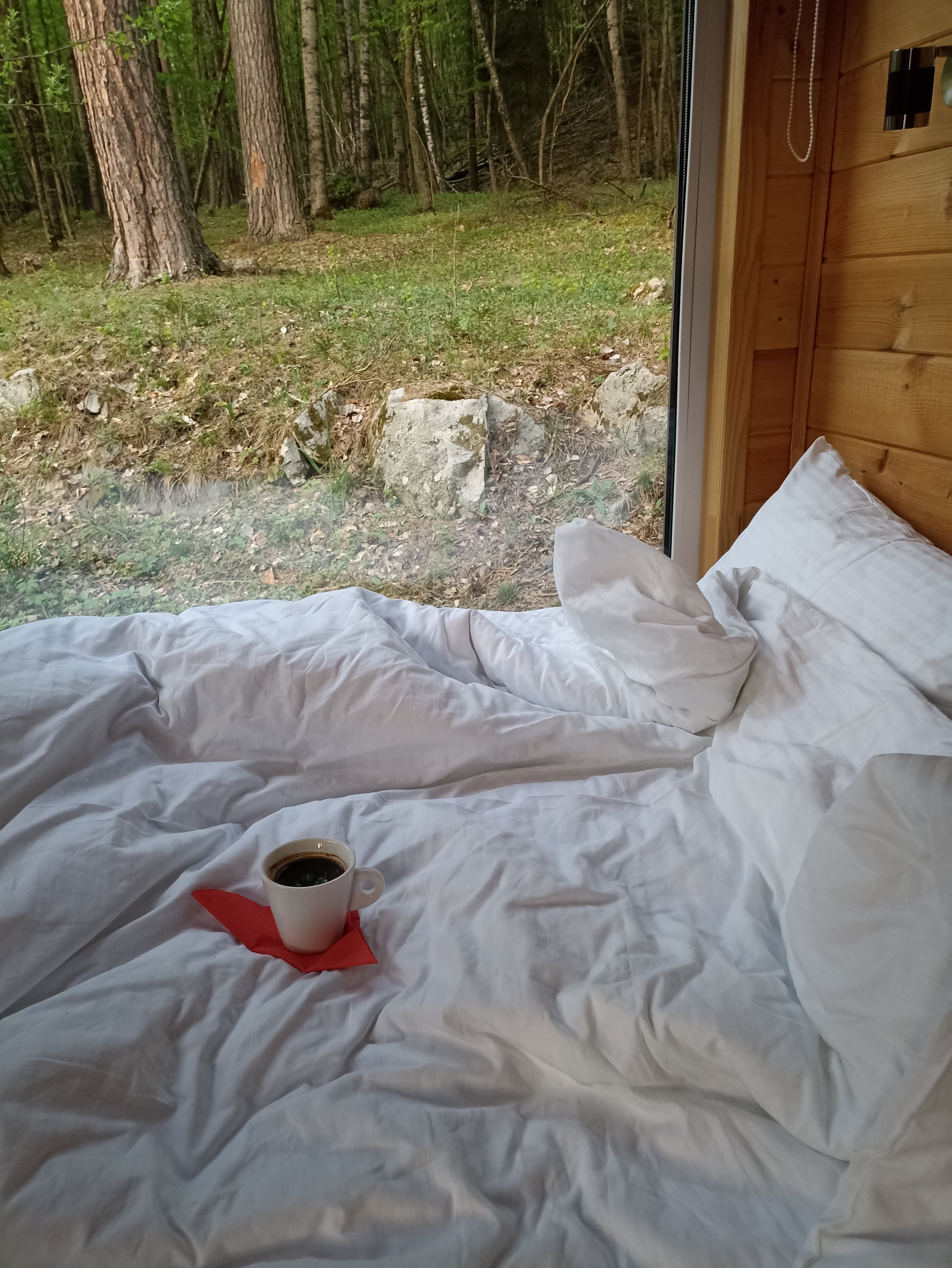 Фото Шелест