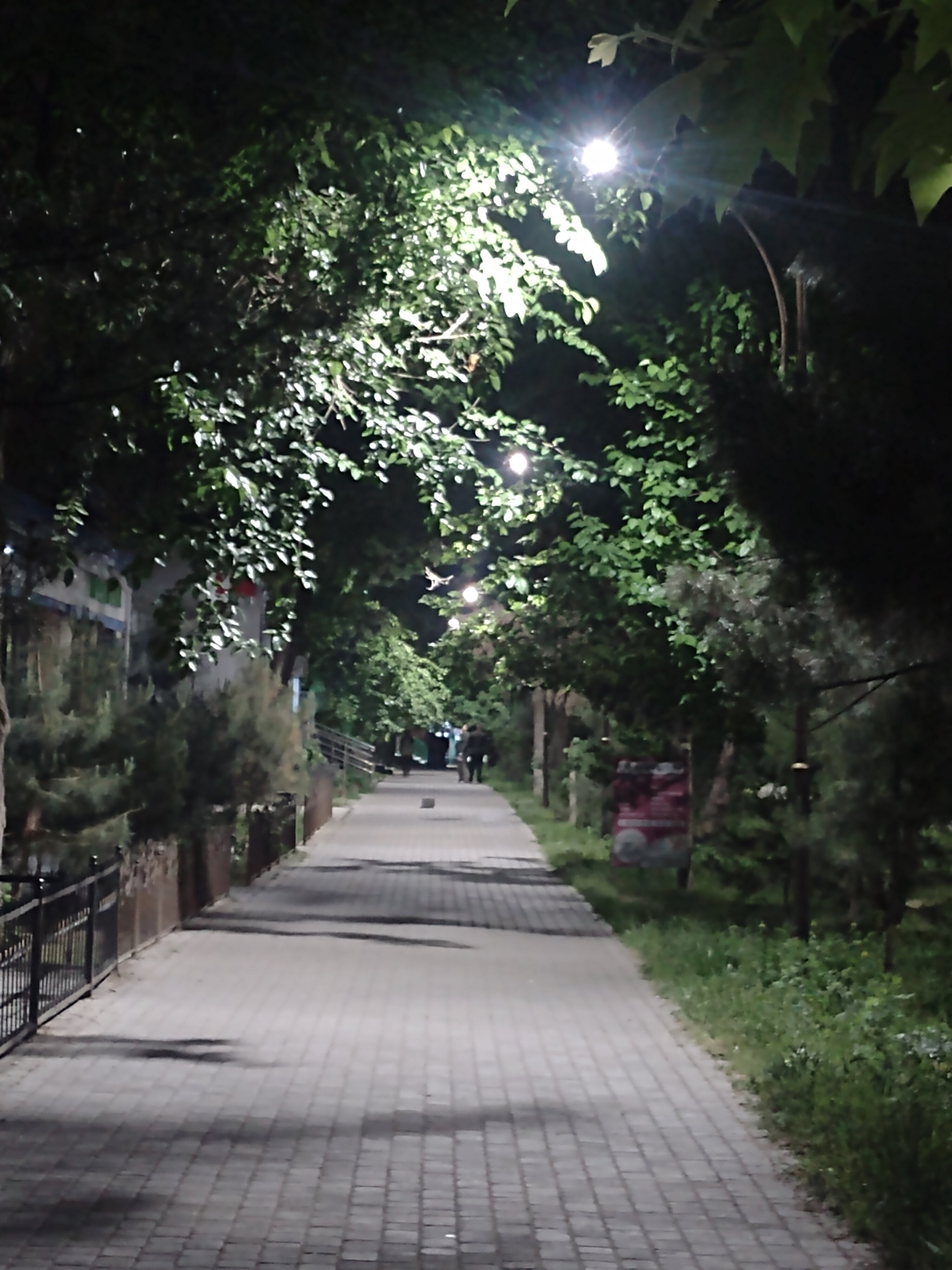 Фото Safarov’s Family