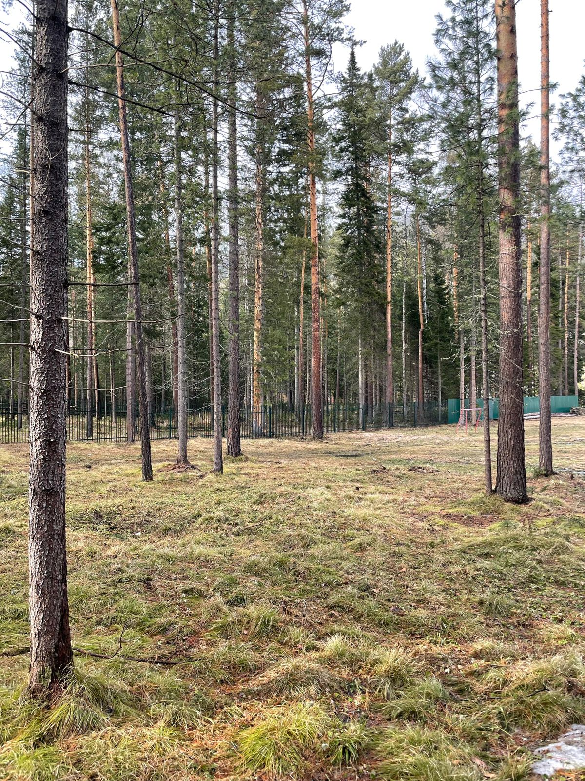 Фото Беретьклуб124