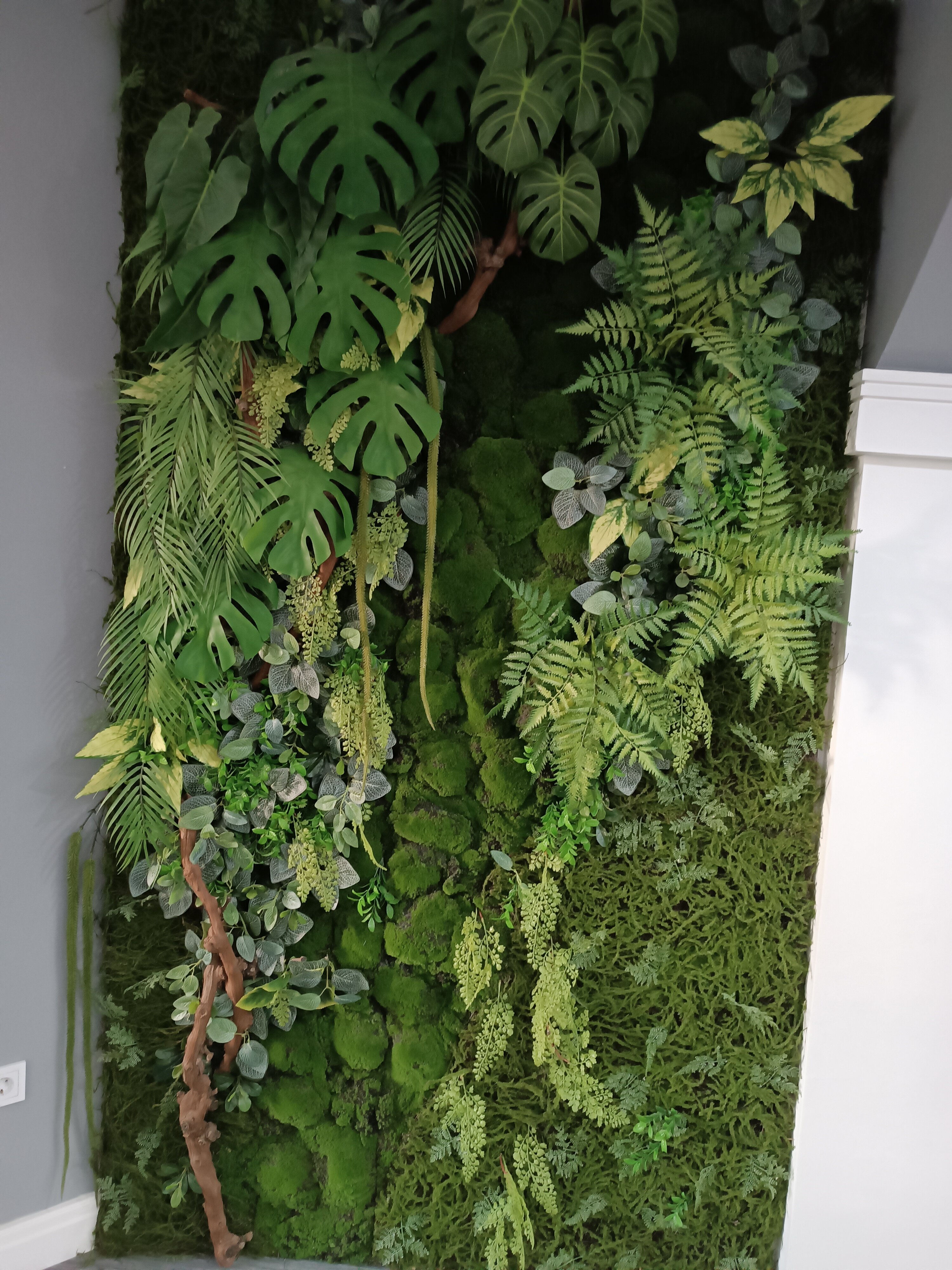 Фото Царицын