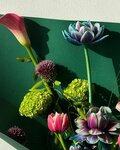 The Bloom Room (University City Road, 407), flower shop
