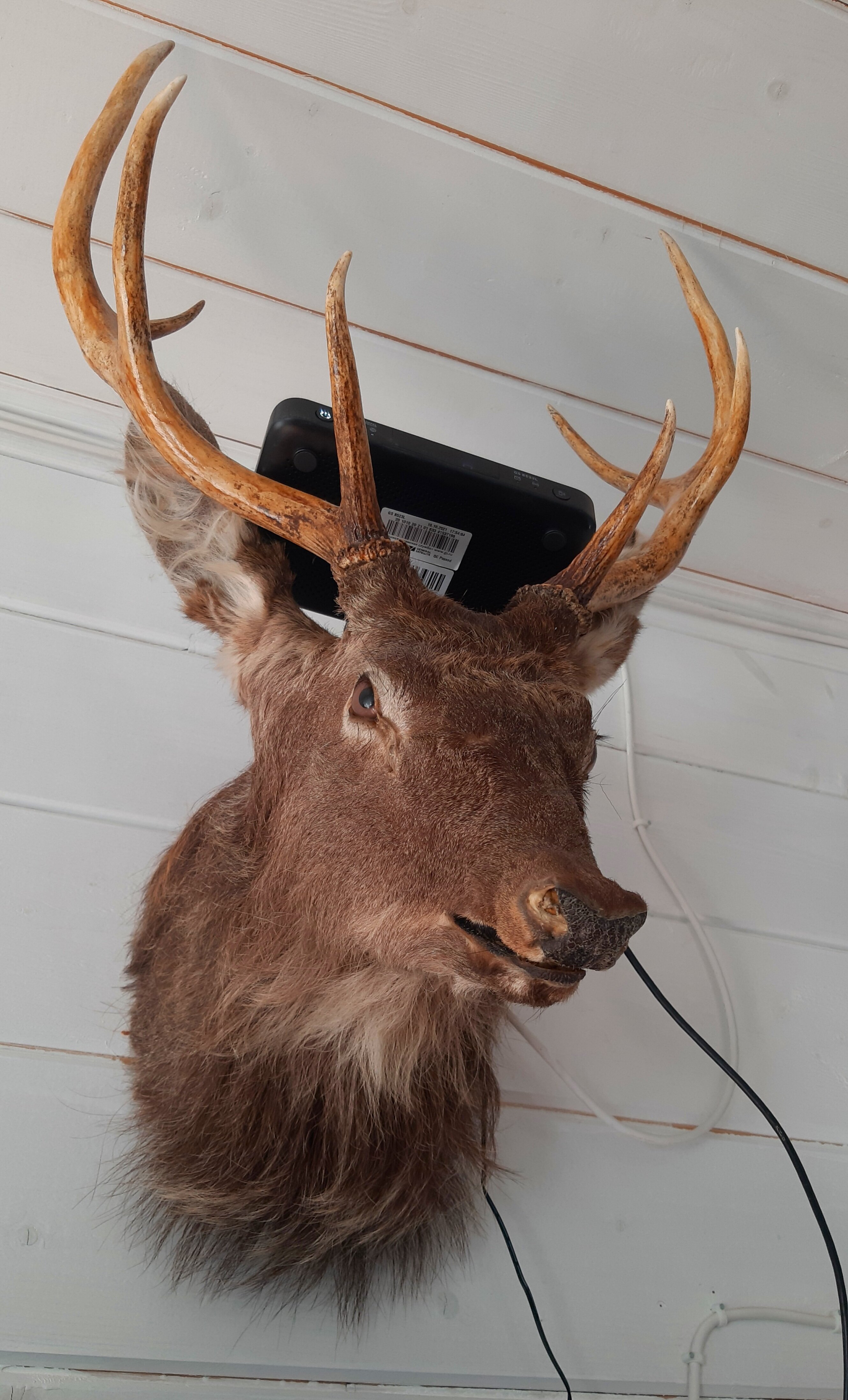 Фото На Валах