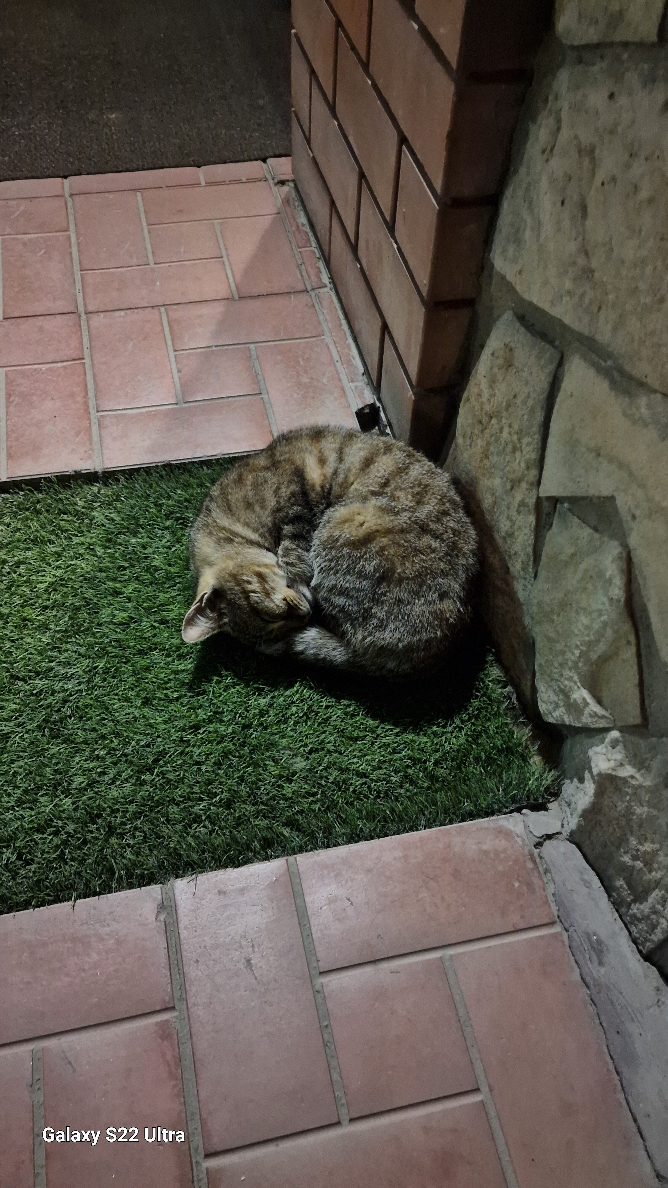 Фото Солнечная