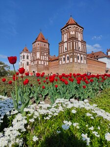 Mir Castle (Urban Settlement of Mir, Chyrvonaarmiejskaja Street, 2), museum