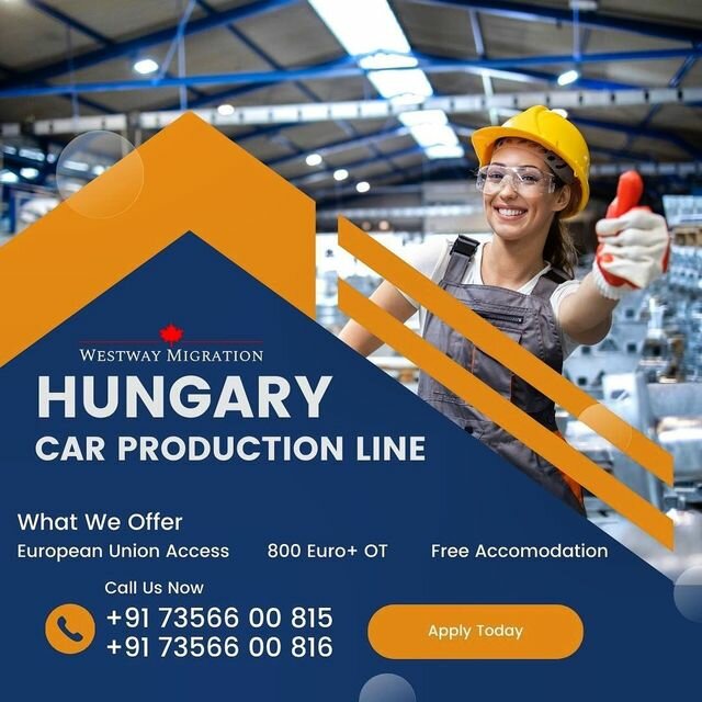 Business consulting Westway Management Consultancies, Dubai, photo