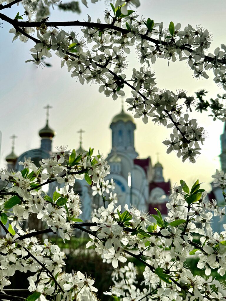 كنيسة أرثوذكسية Церковь Святой мученицы Лидии ، ، صورة