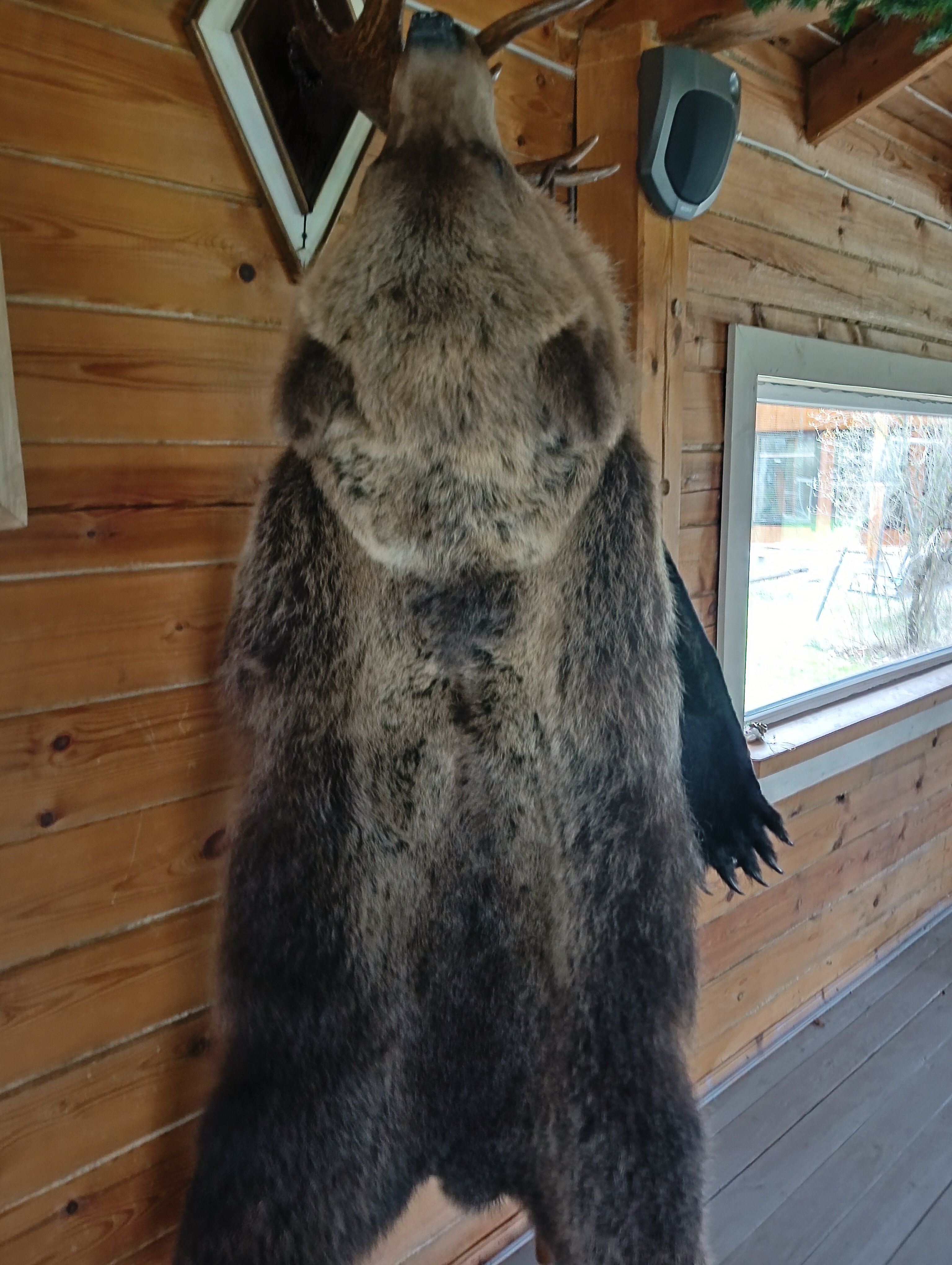 Фото Тихая долина