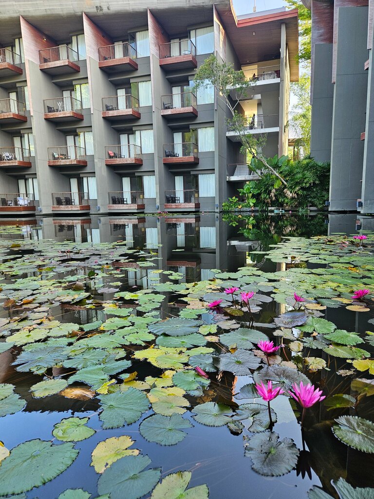 Гостиница Renaissance Phuket Resort & SPA, Провинция Пхукет, фото