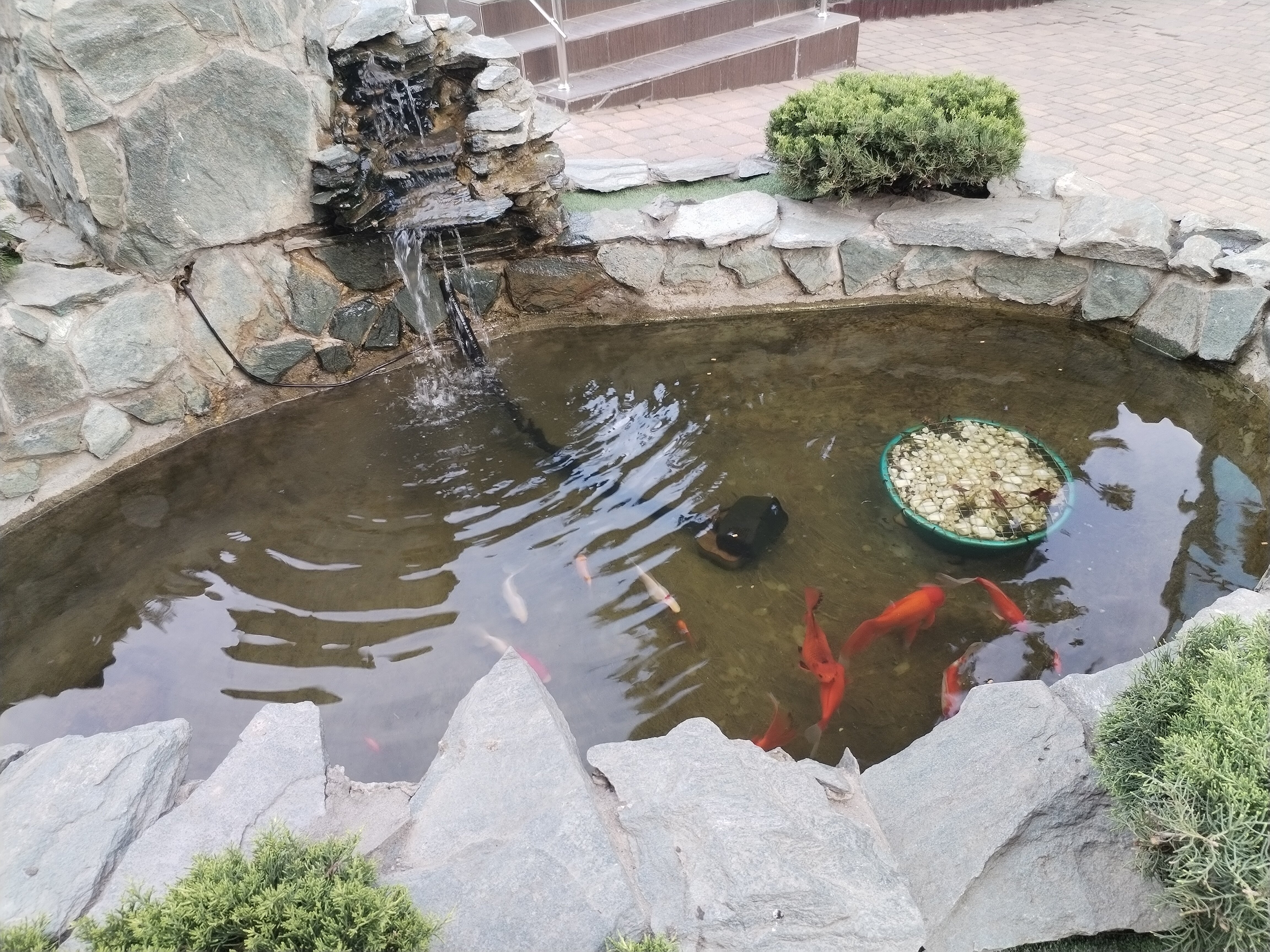 Фото Golden Hotel