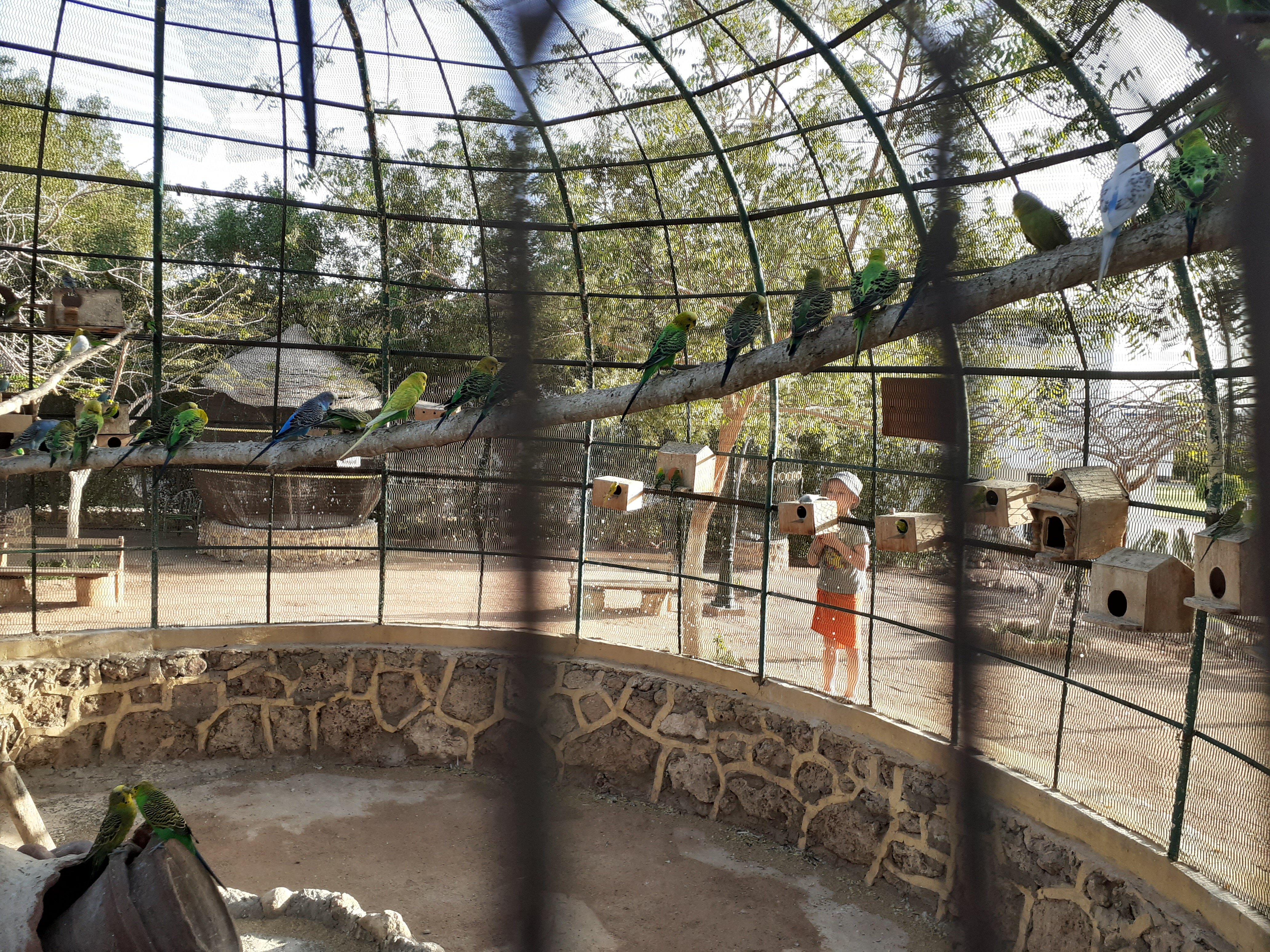 Фото Dreams Vacation