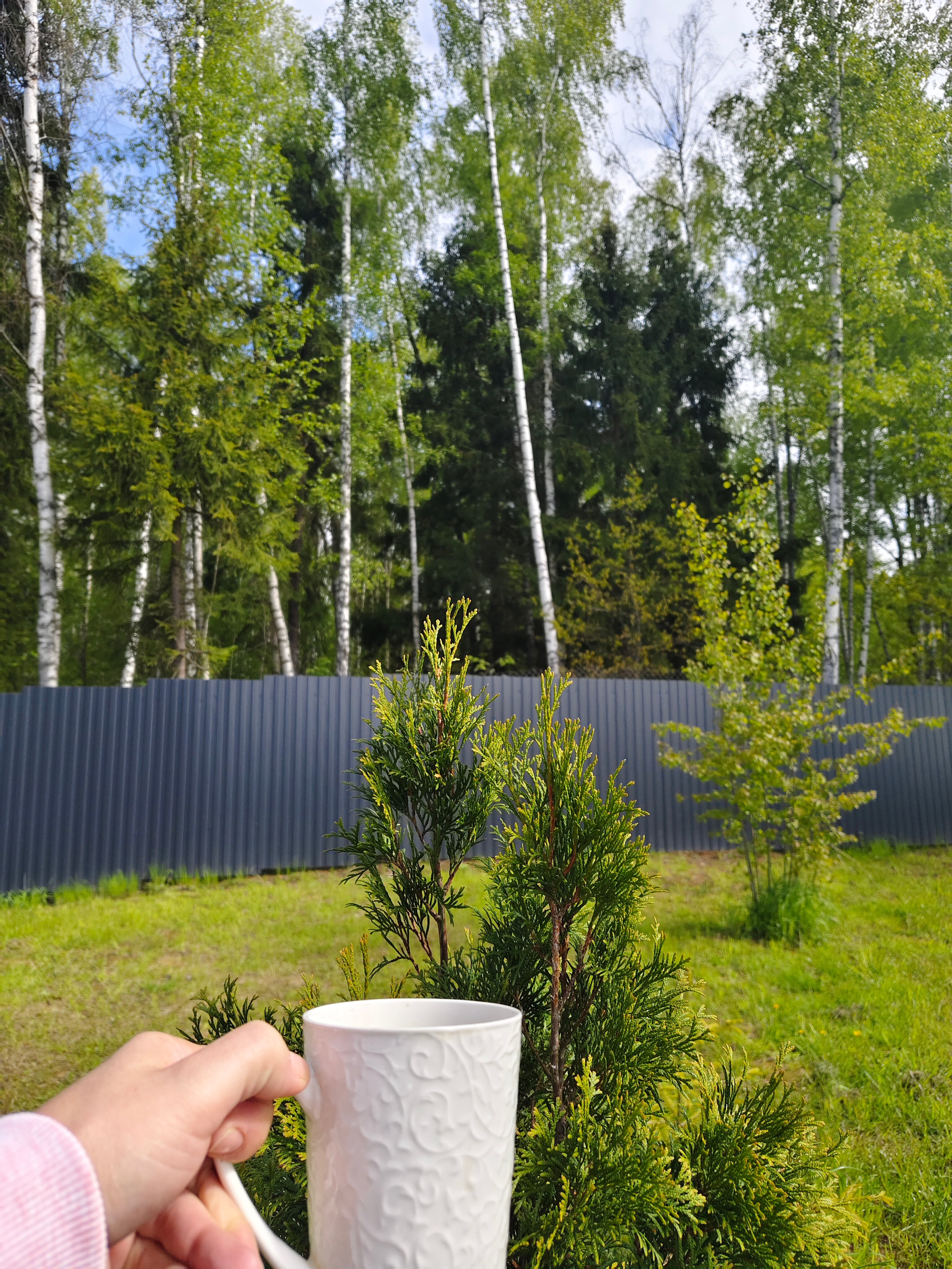 Фото Bereza Country