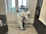 Chistodez (Fryanovskoye shosse, 64к3), disinfection, disinsection, deratization