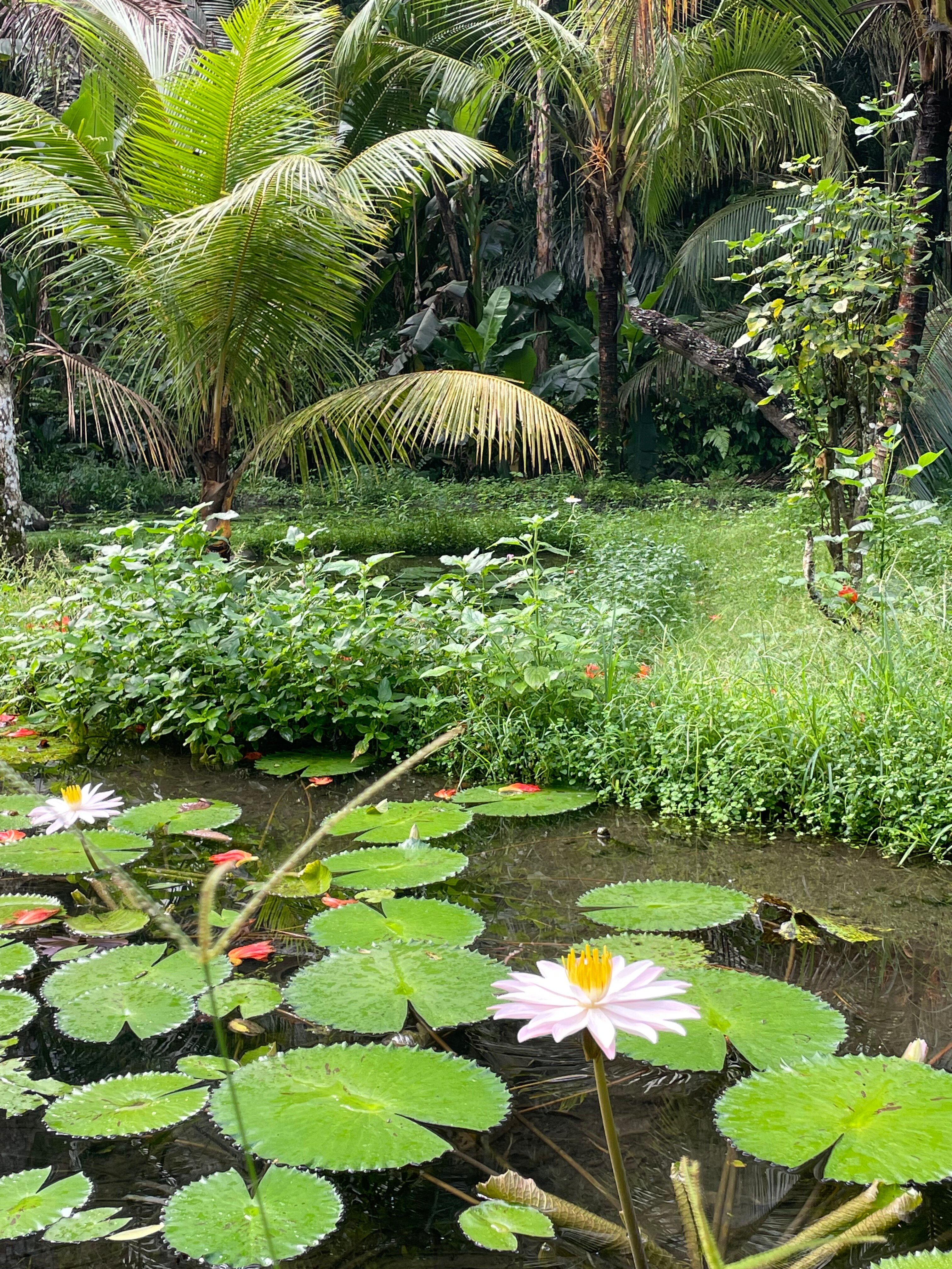 Фото Anathera Resort Kuta