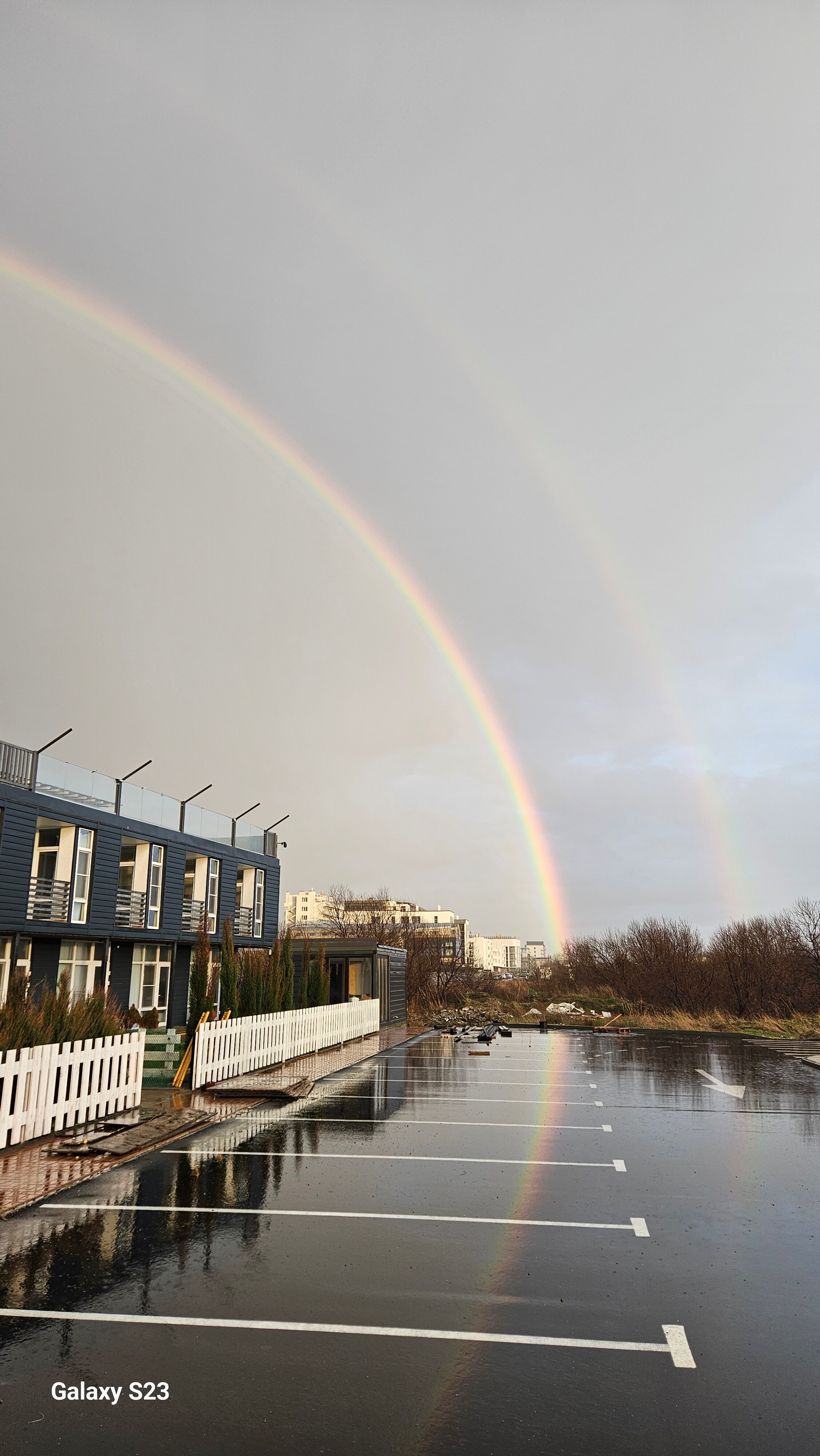 Фото Тортуга