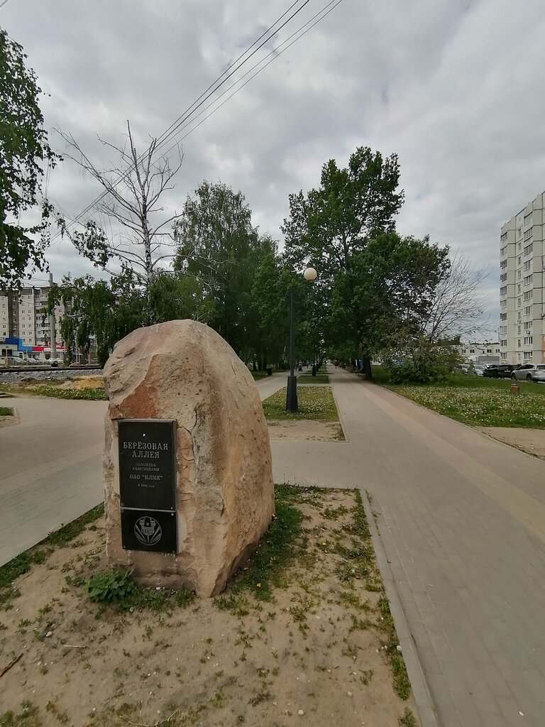 Memorial plaque, foundation stone Камень по случаю закладки сквера Берёзовая аллея, Lipetsk, photo