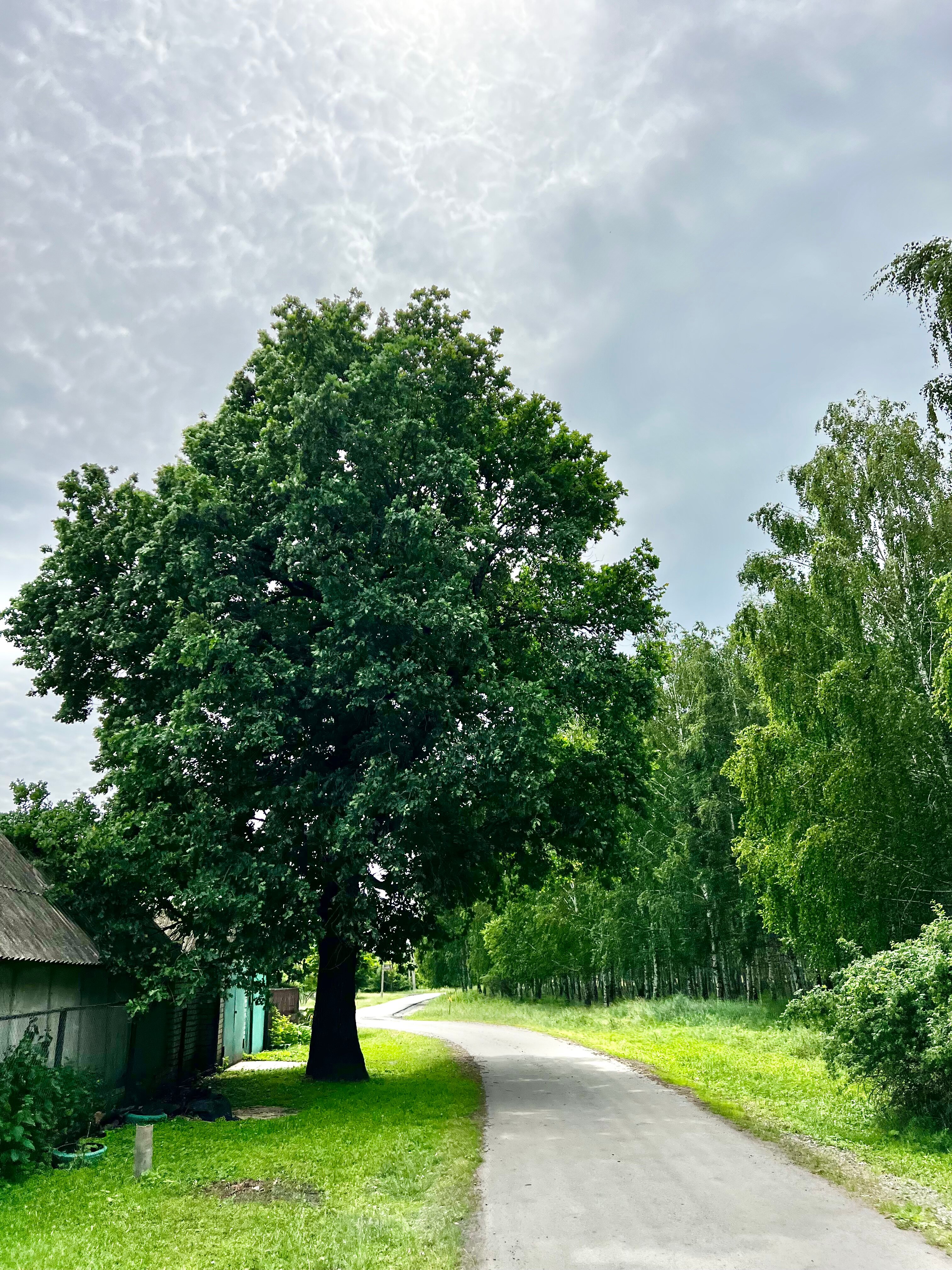 Фото Дом в заповеднике