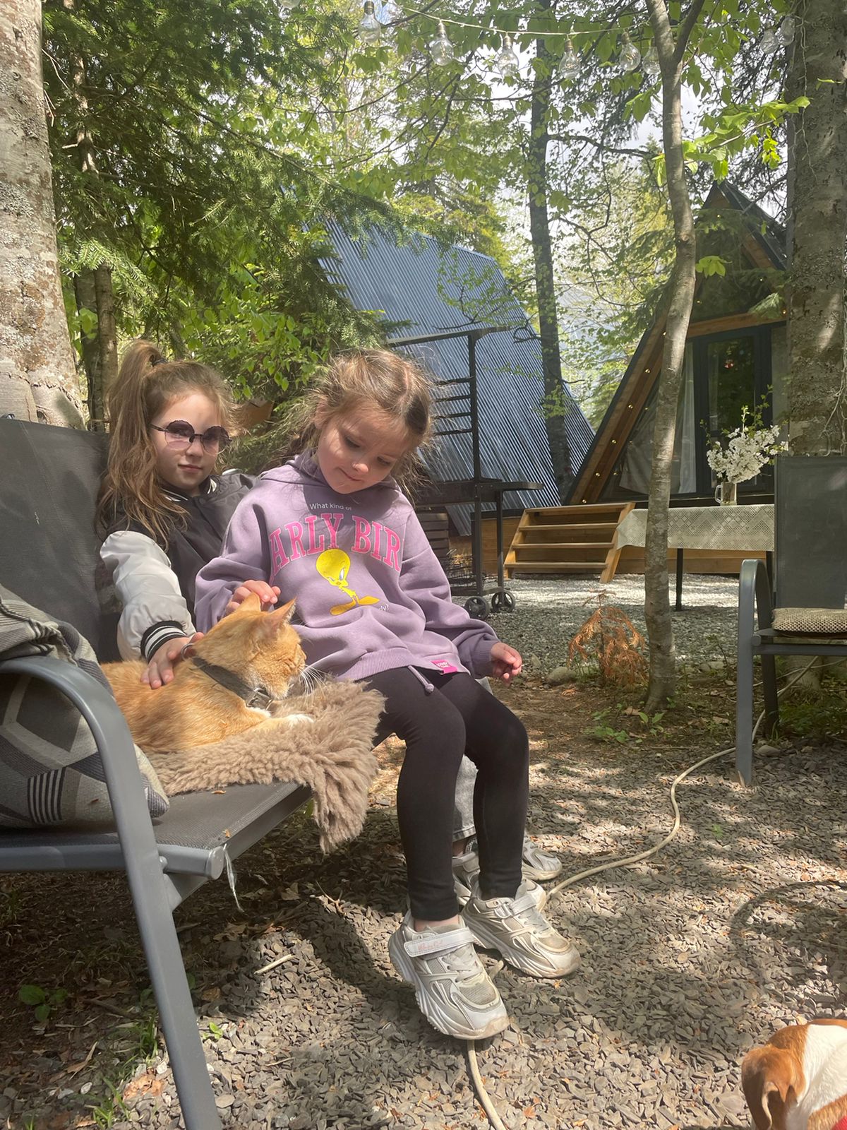 Фото Архыз-Глэмп