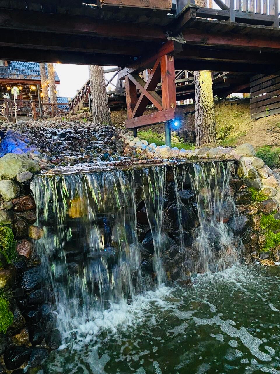 Фото Оленьи пруды