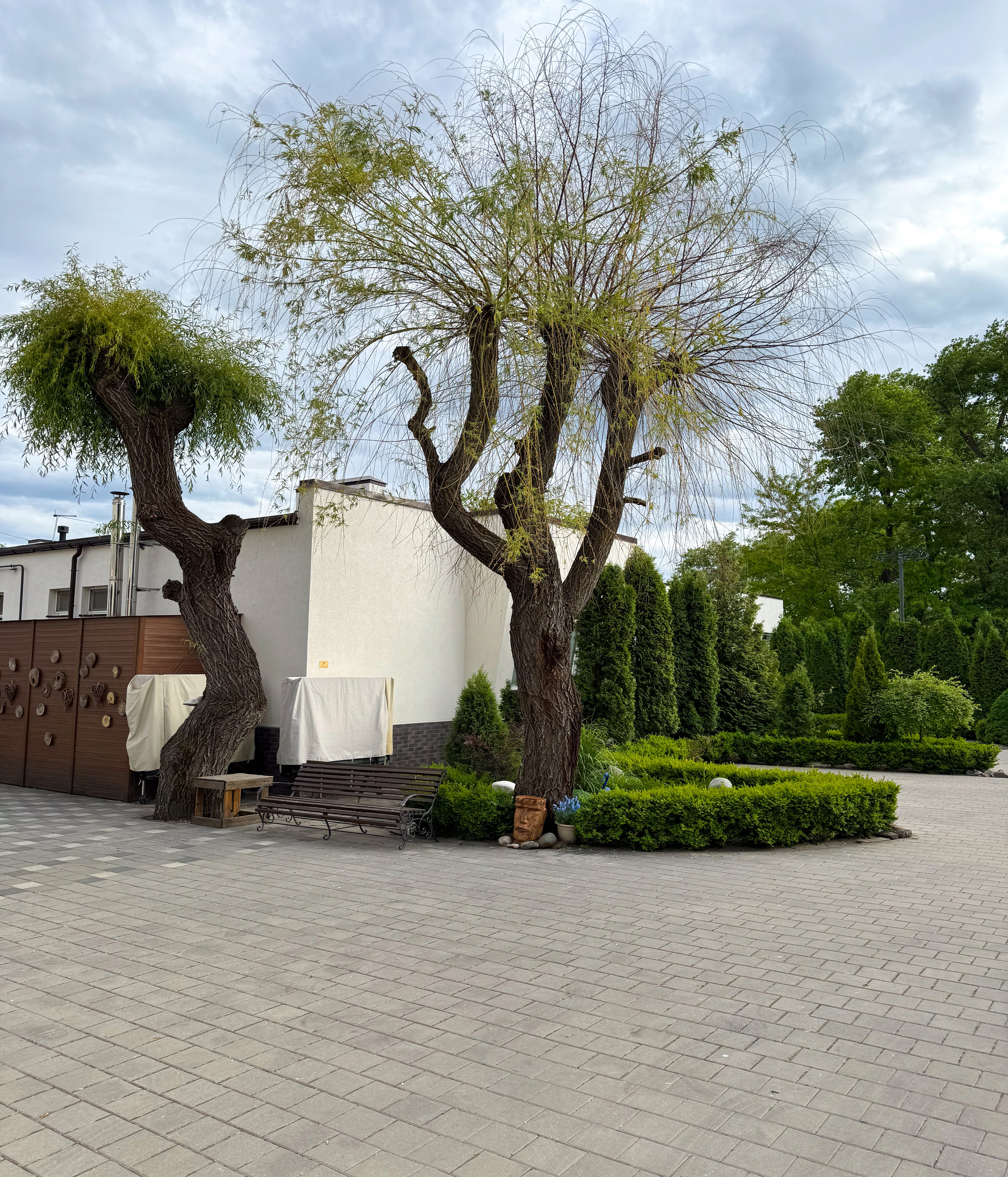 Фото Авангард