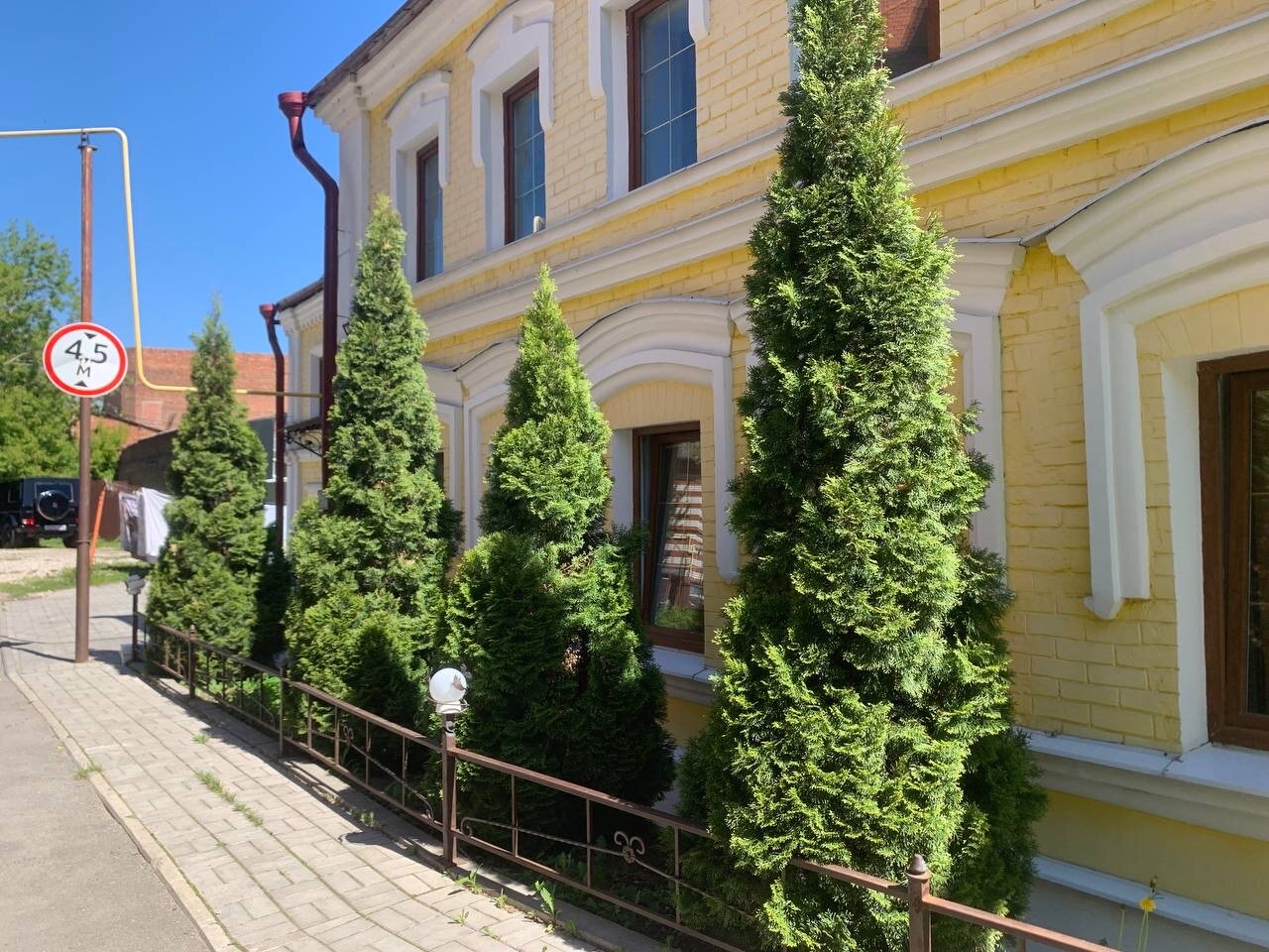 Фото Кот на крыше