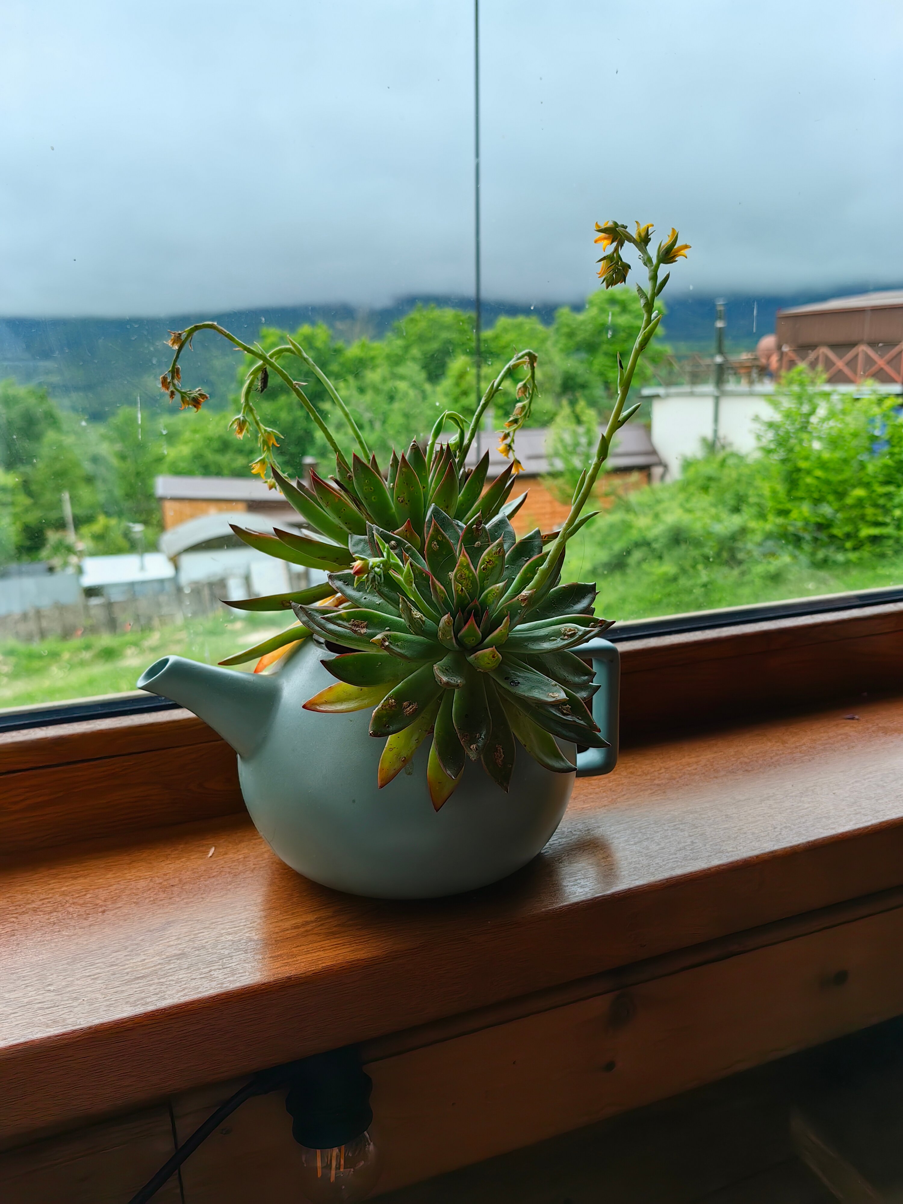 Фото Мезмай Мезон