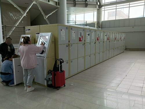 Ірі планда попки