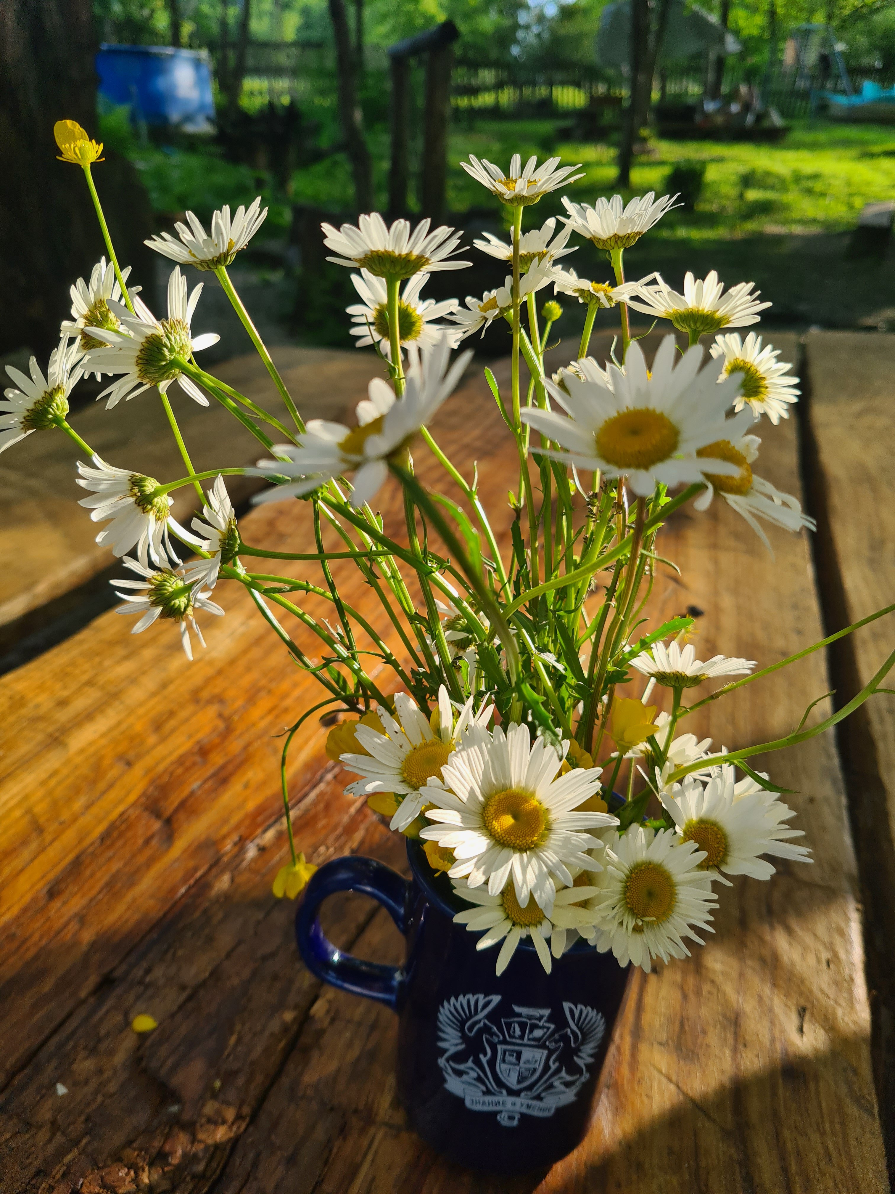 Фото Озеро Ольховое