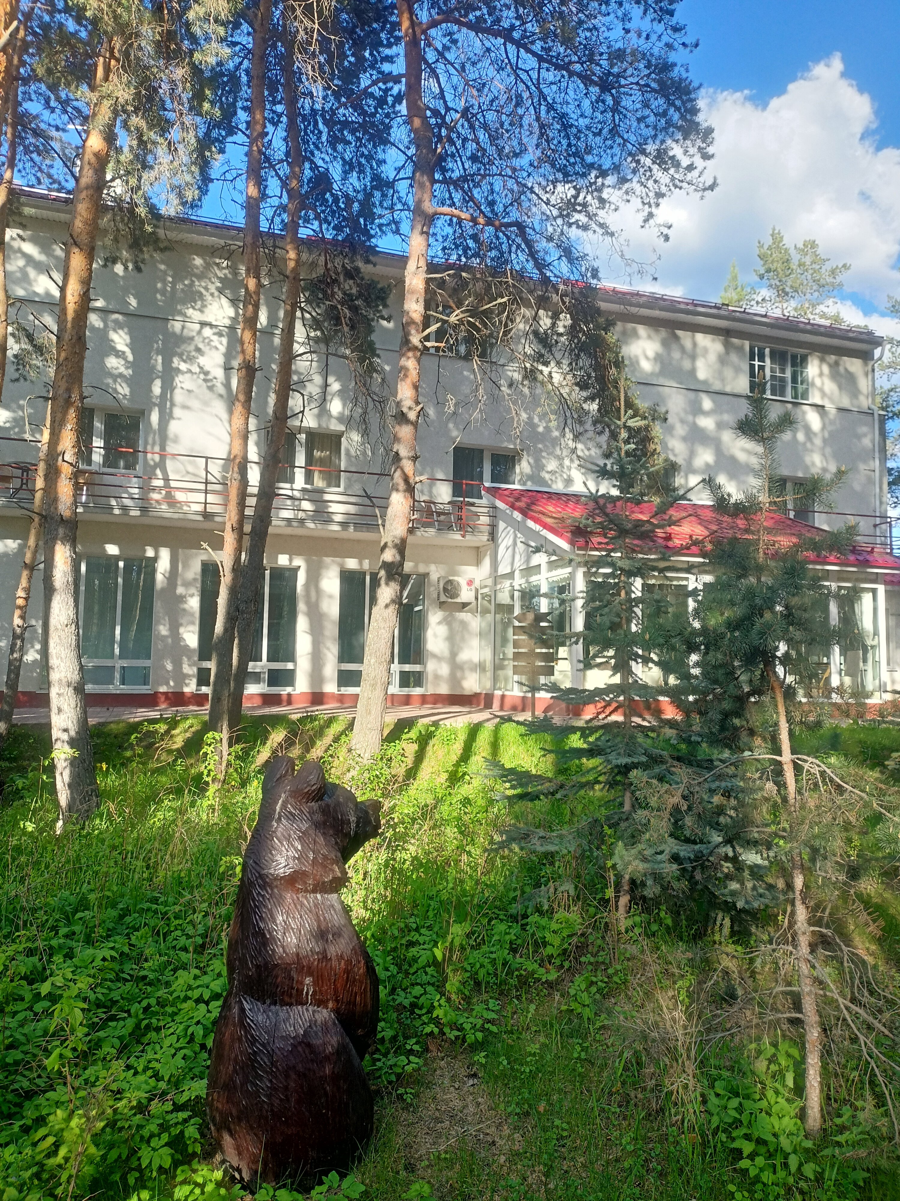 Фото Еловое