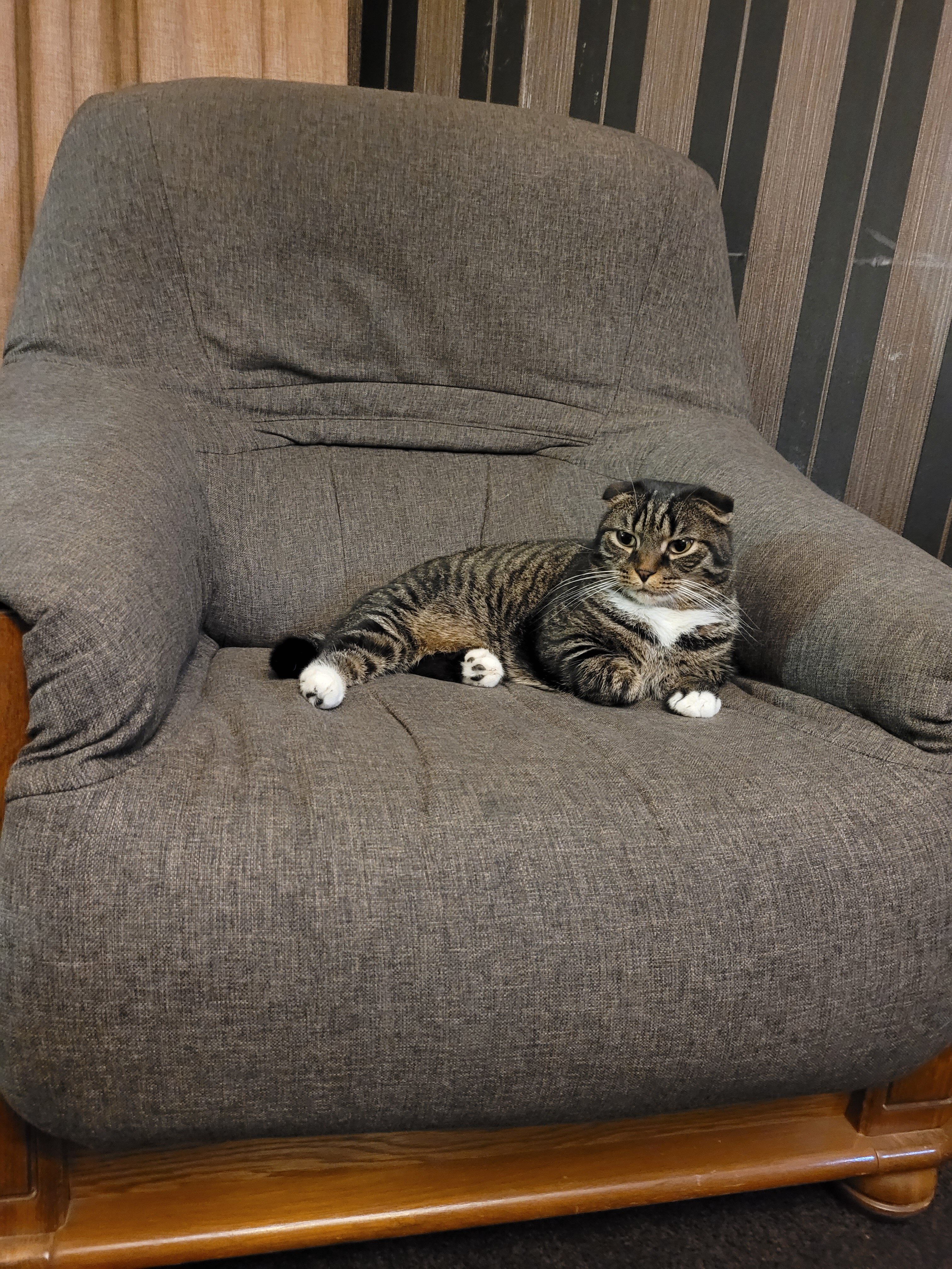 Фото Отель Sololaki