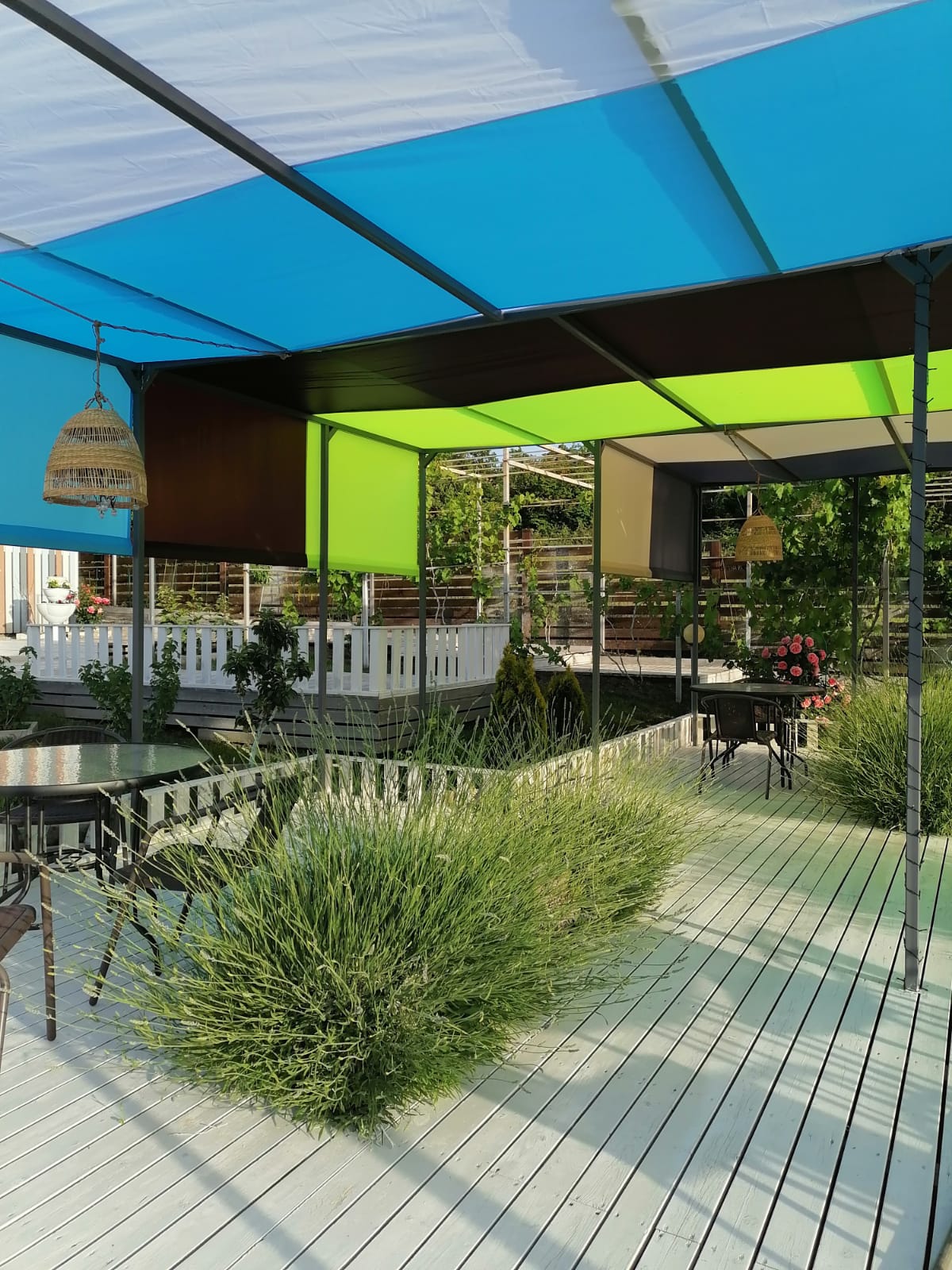 Фото Александрия Garden