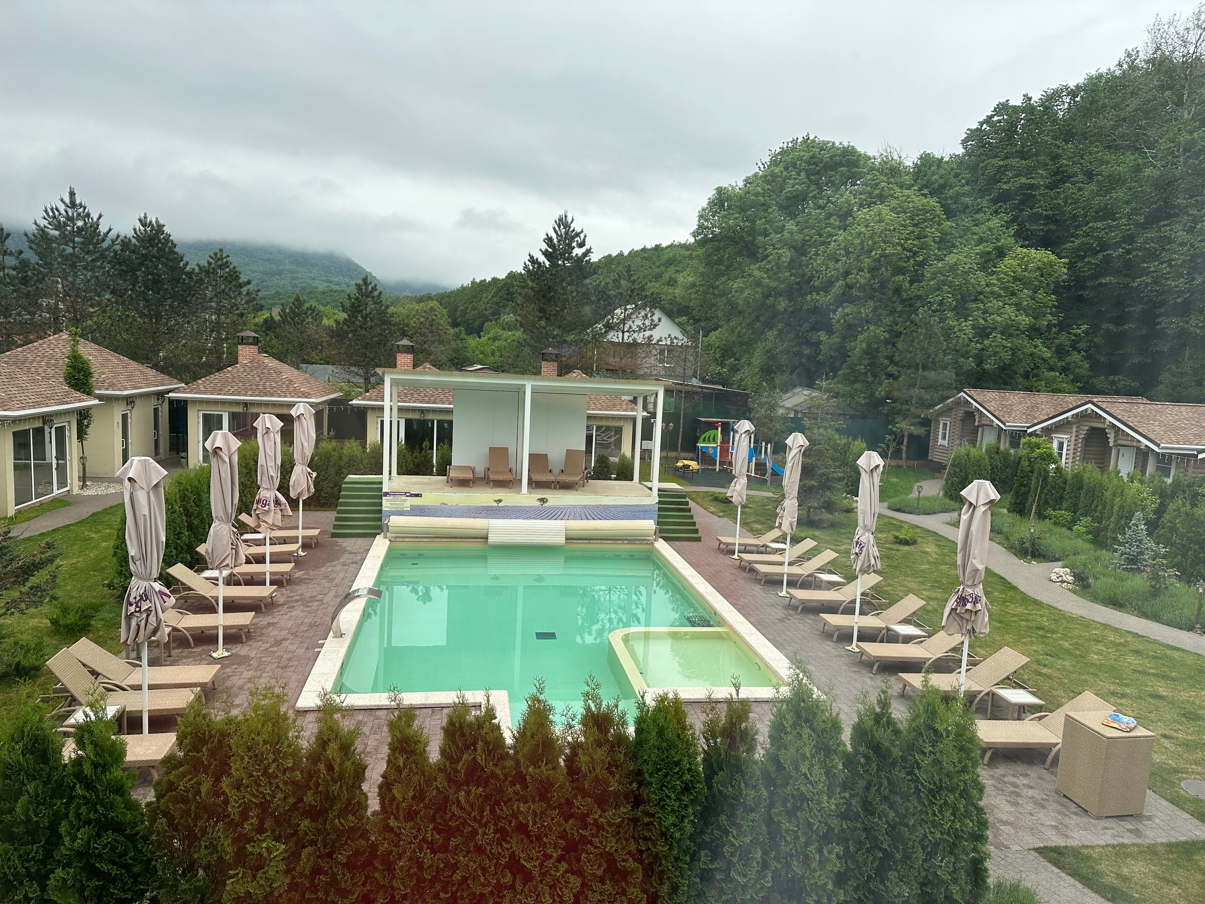 Фото Лаванда