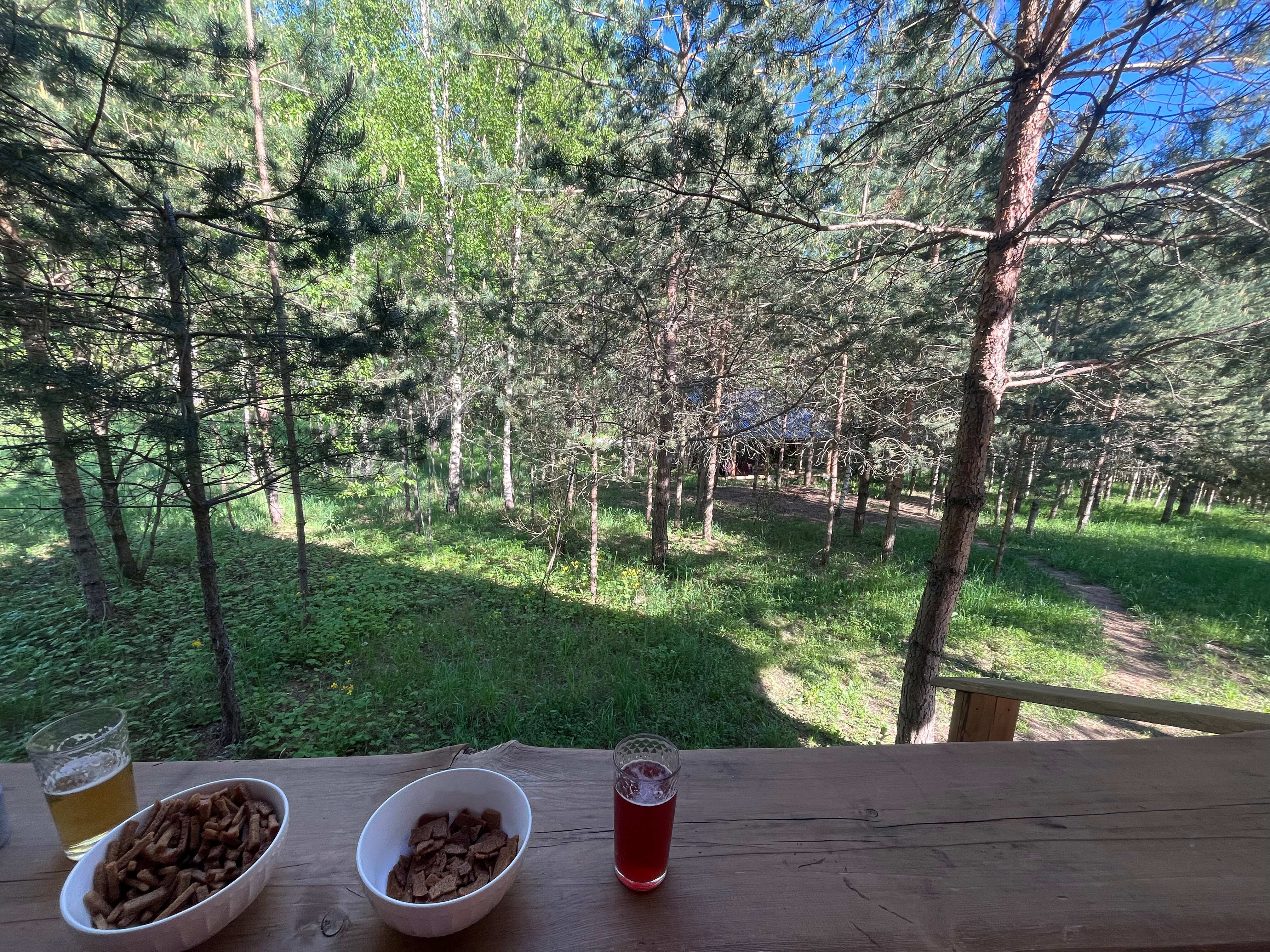 Фото Валдайские дачи