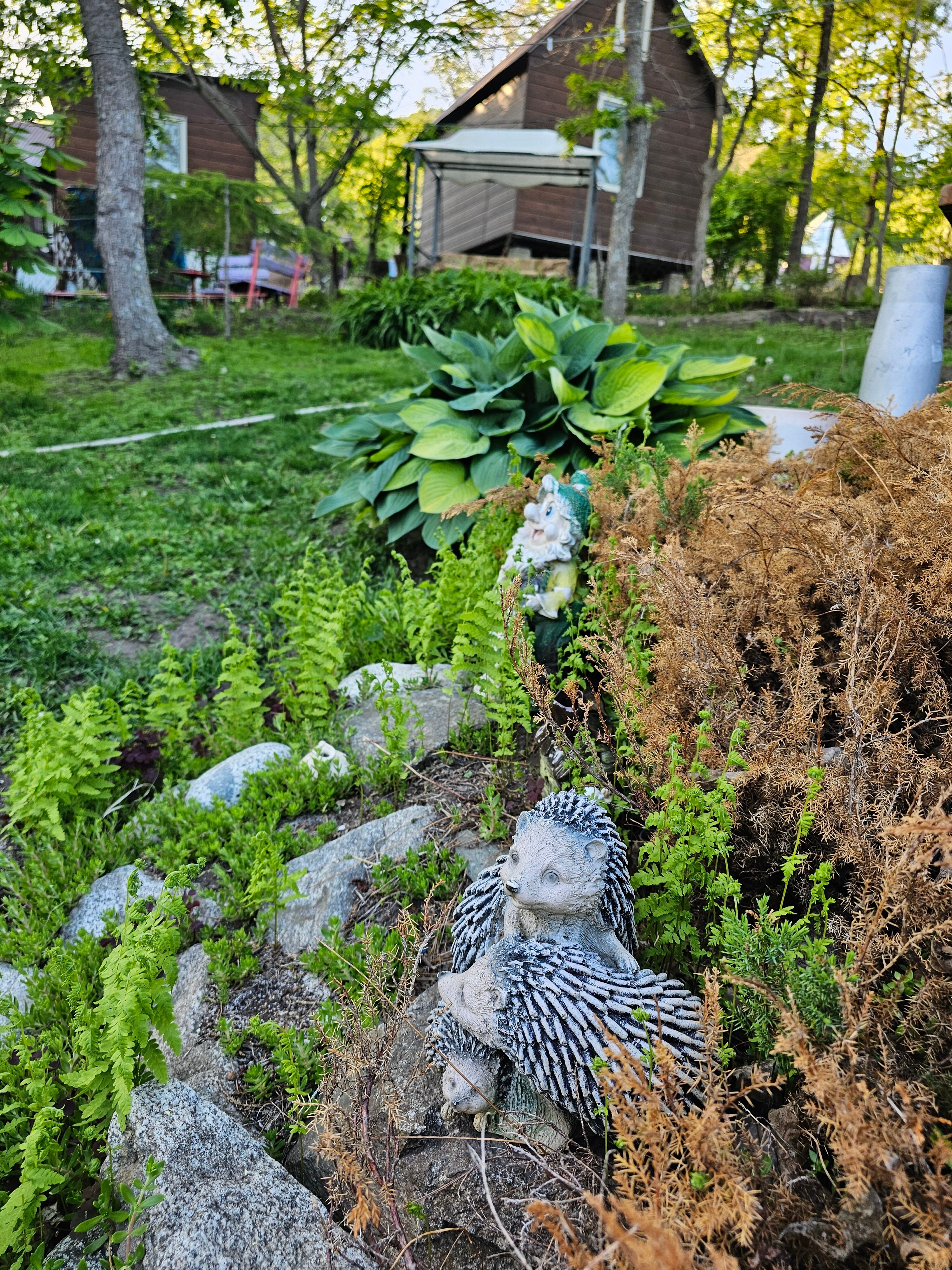 Фото Ольховая