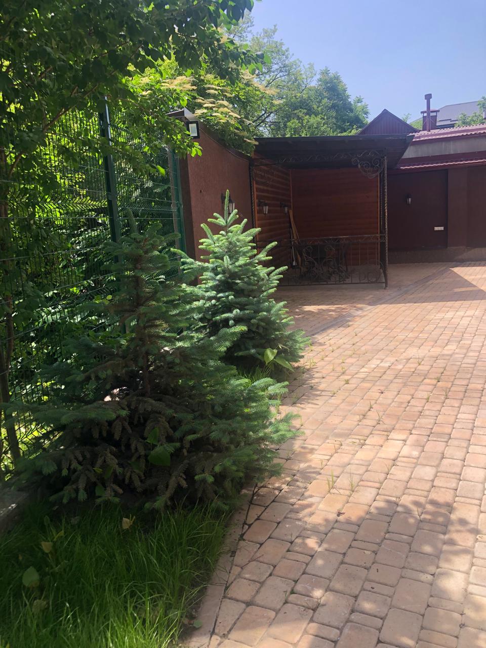 Фото Атмосфера