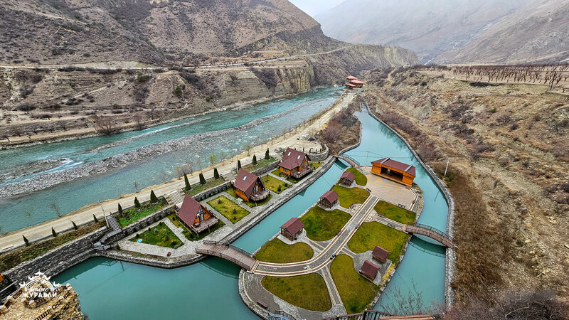 Белые журавли — фото 3