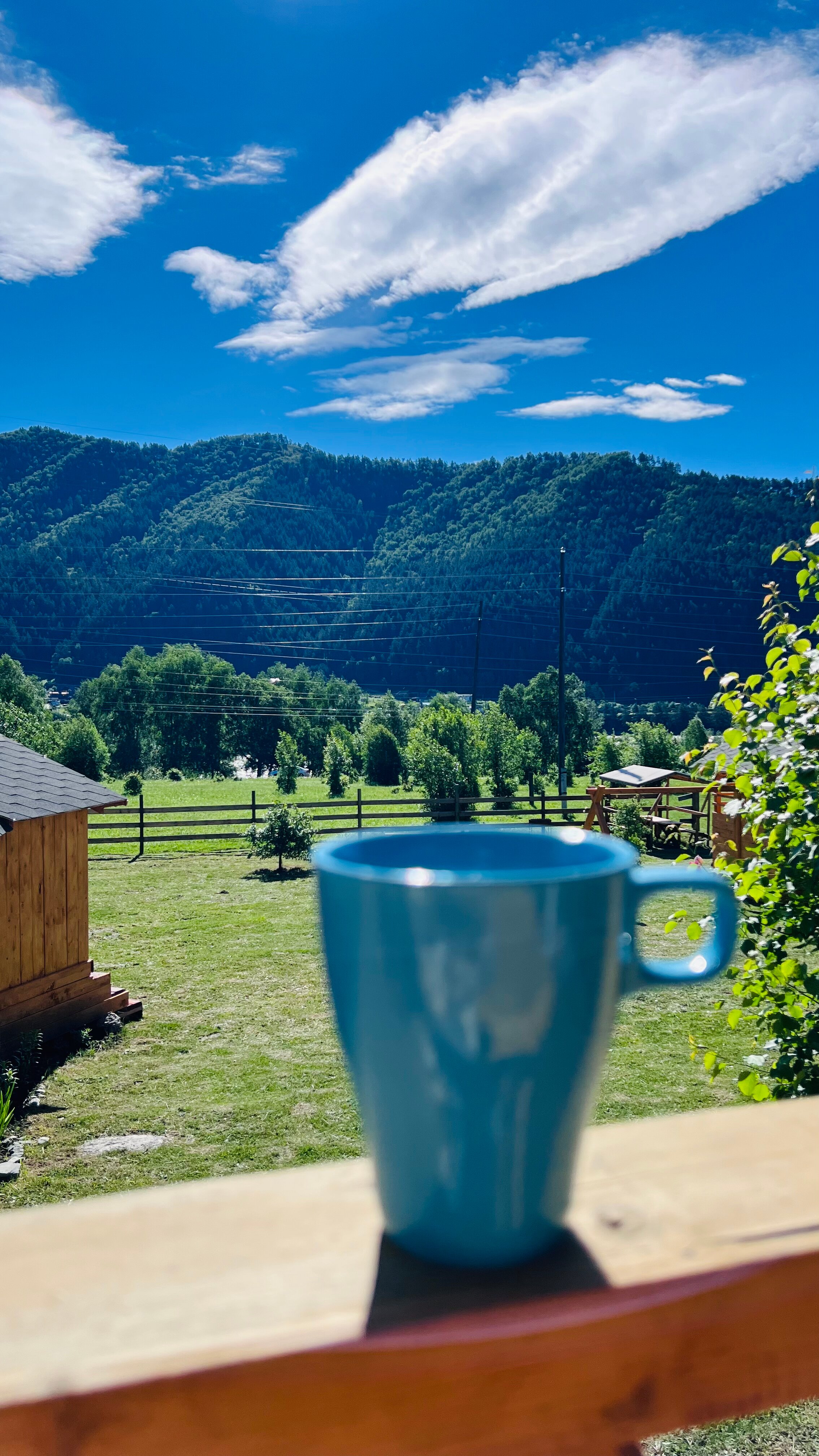 Фото Хан Алтай