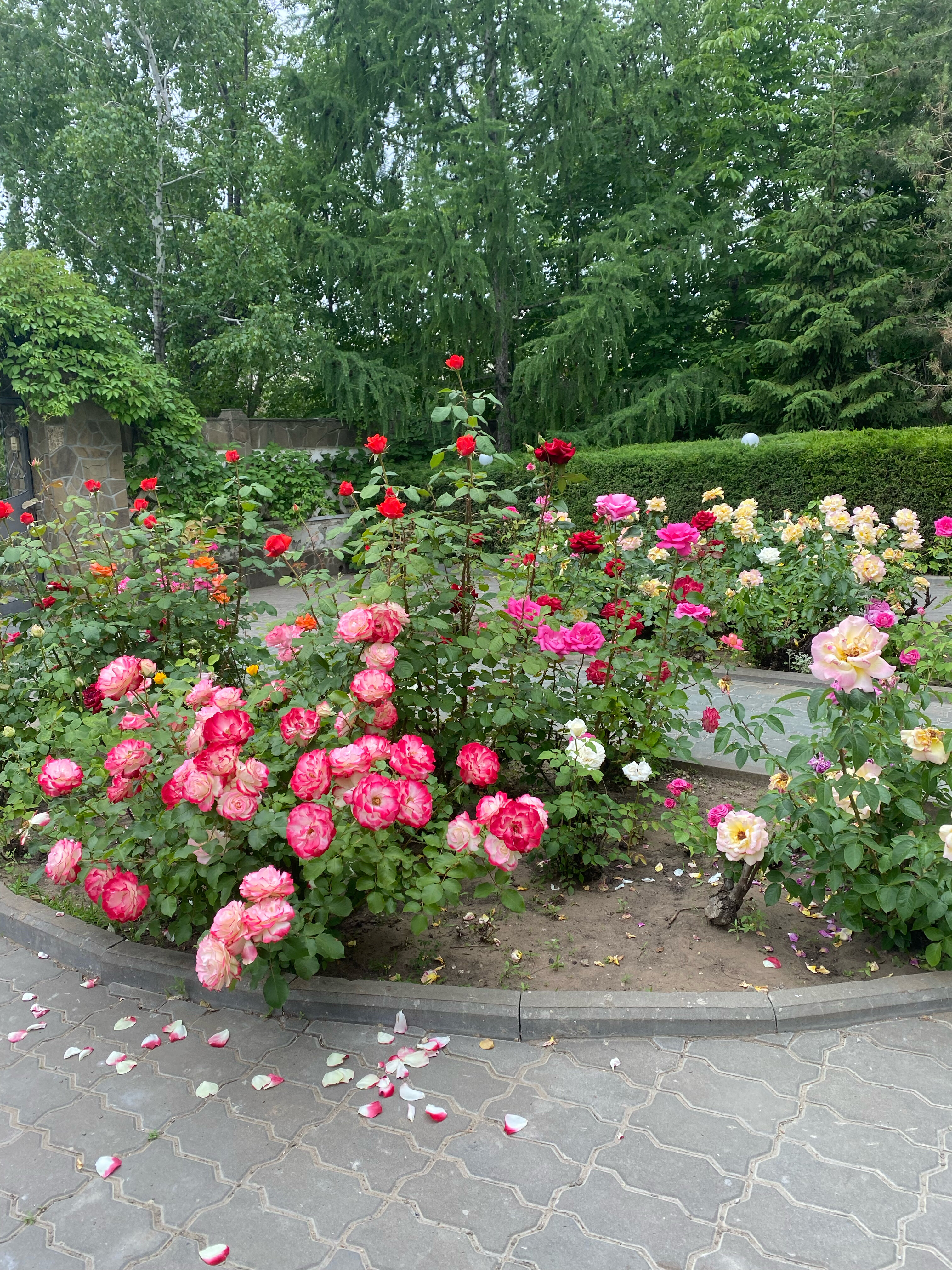 Фото Глория