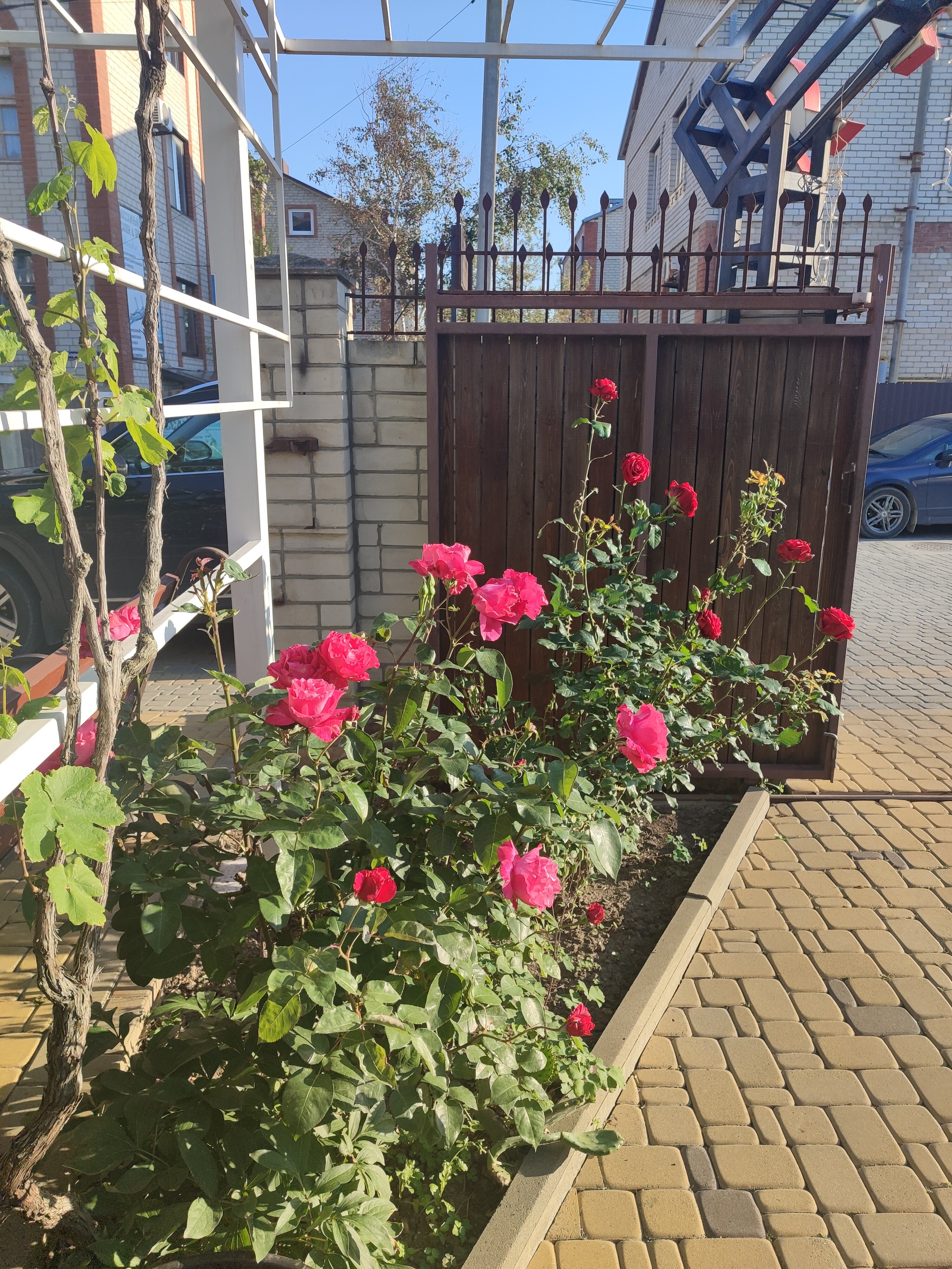 Фото Николаев двор