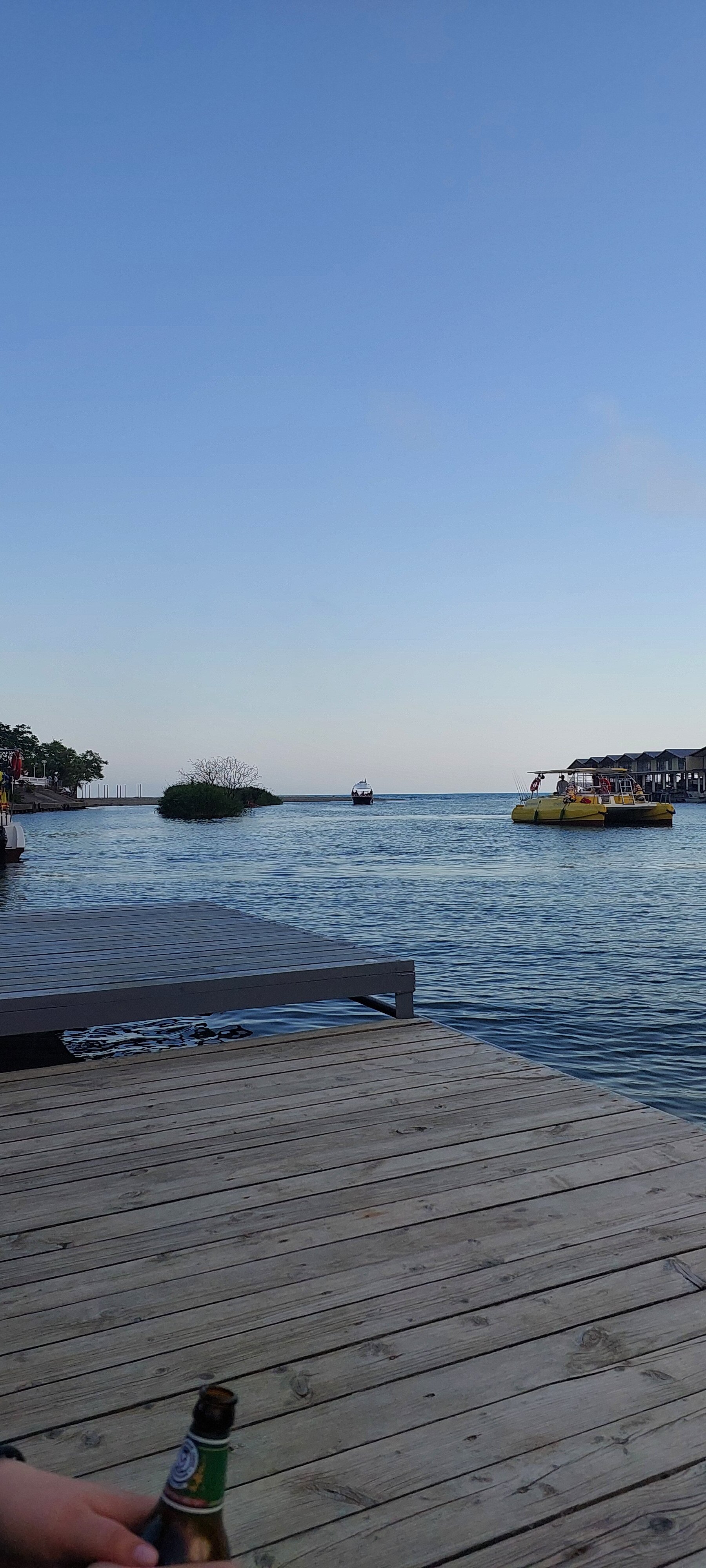 Фото Золотой Каштан