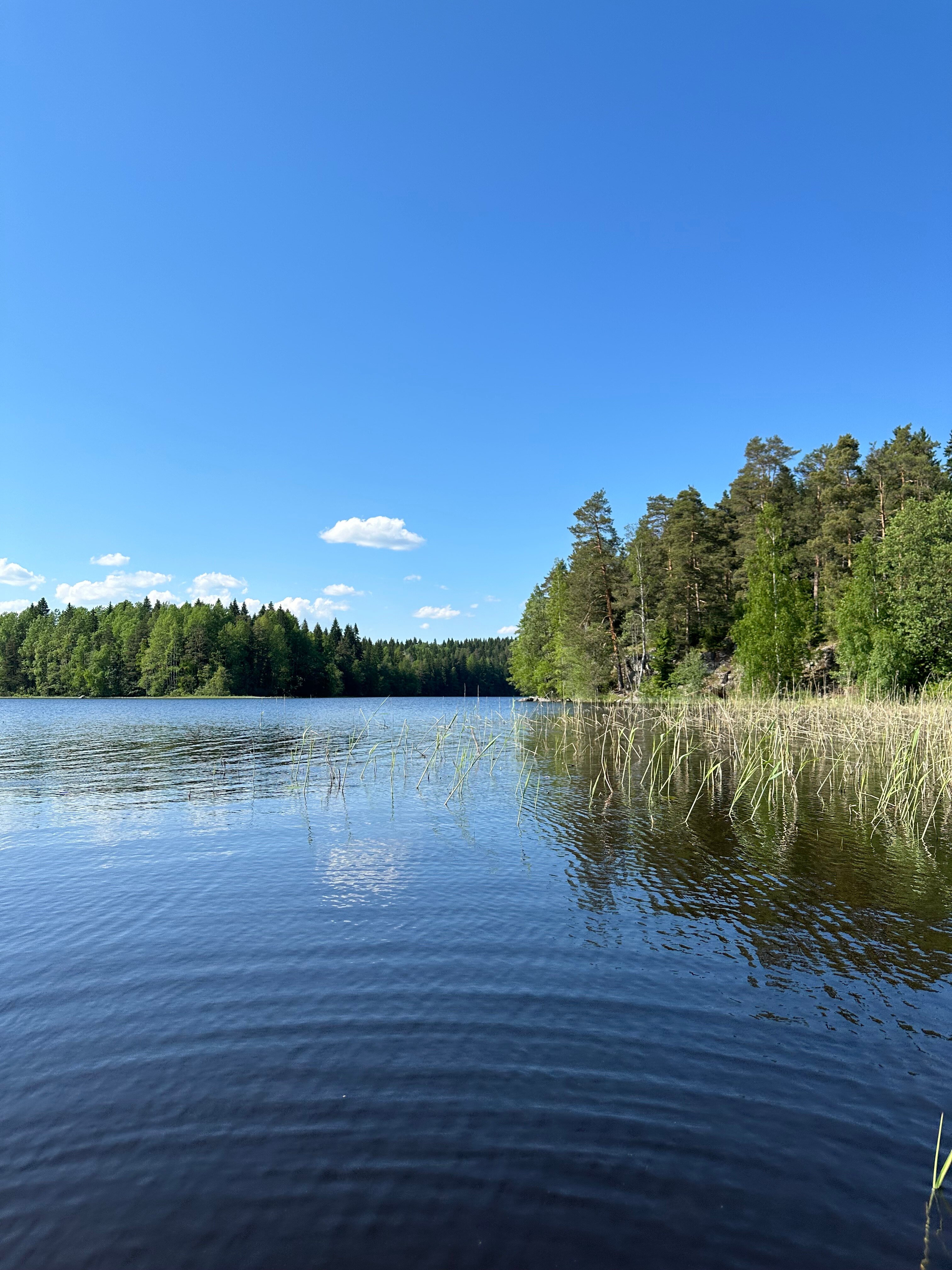 Фото Филина Гора