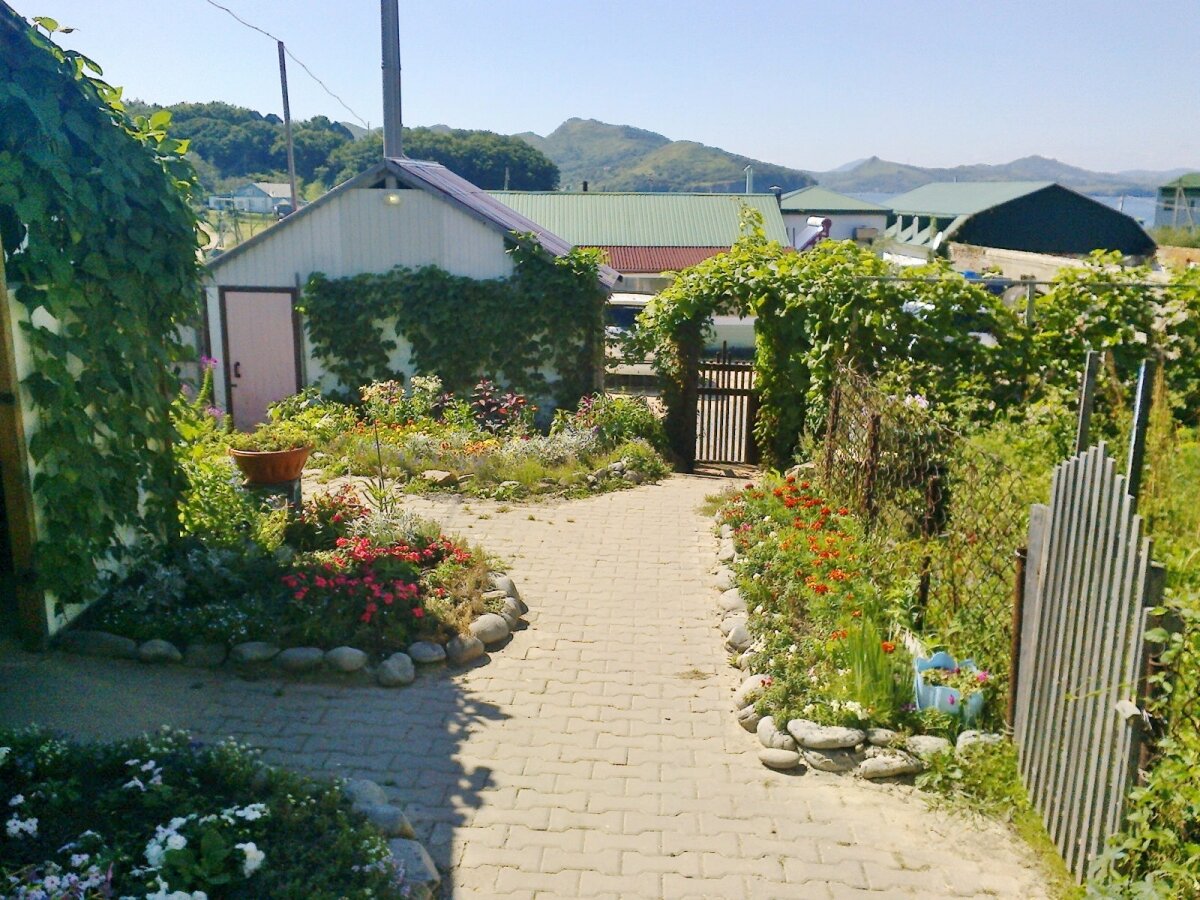 Фото Гружевские