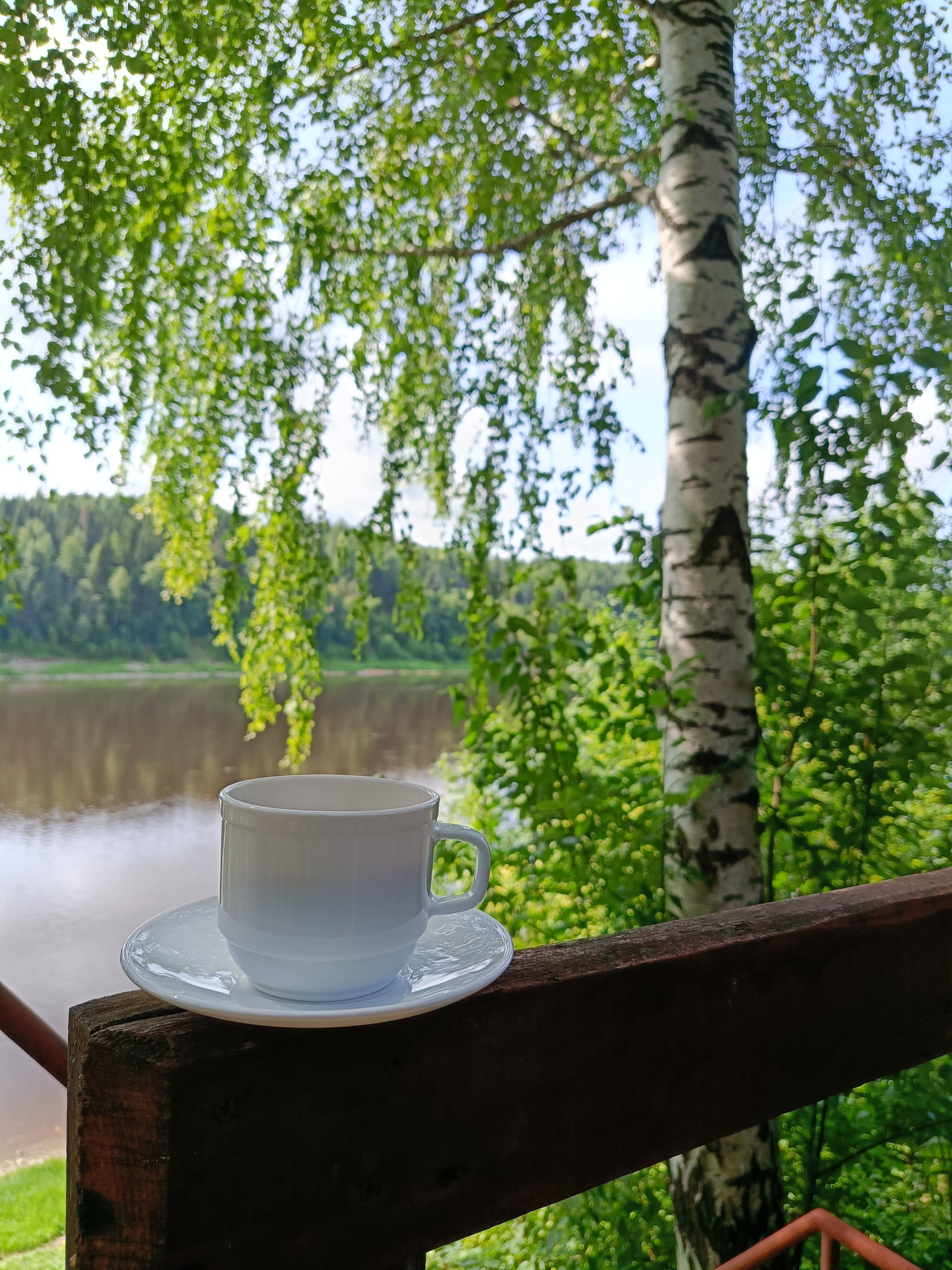 Фото Жемчужина Сухоны