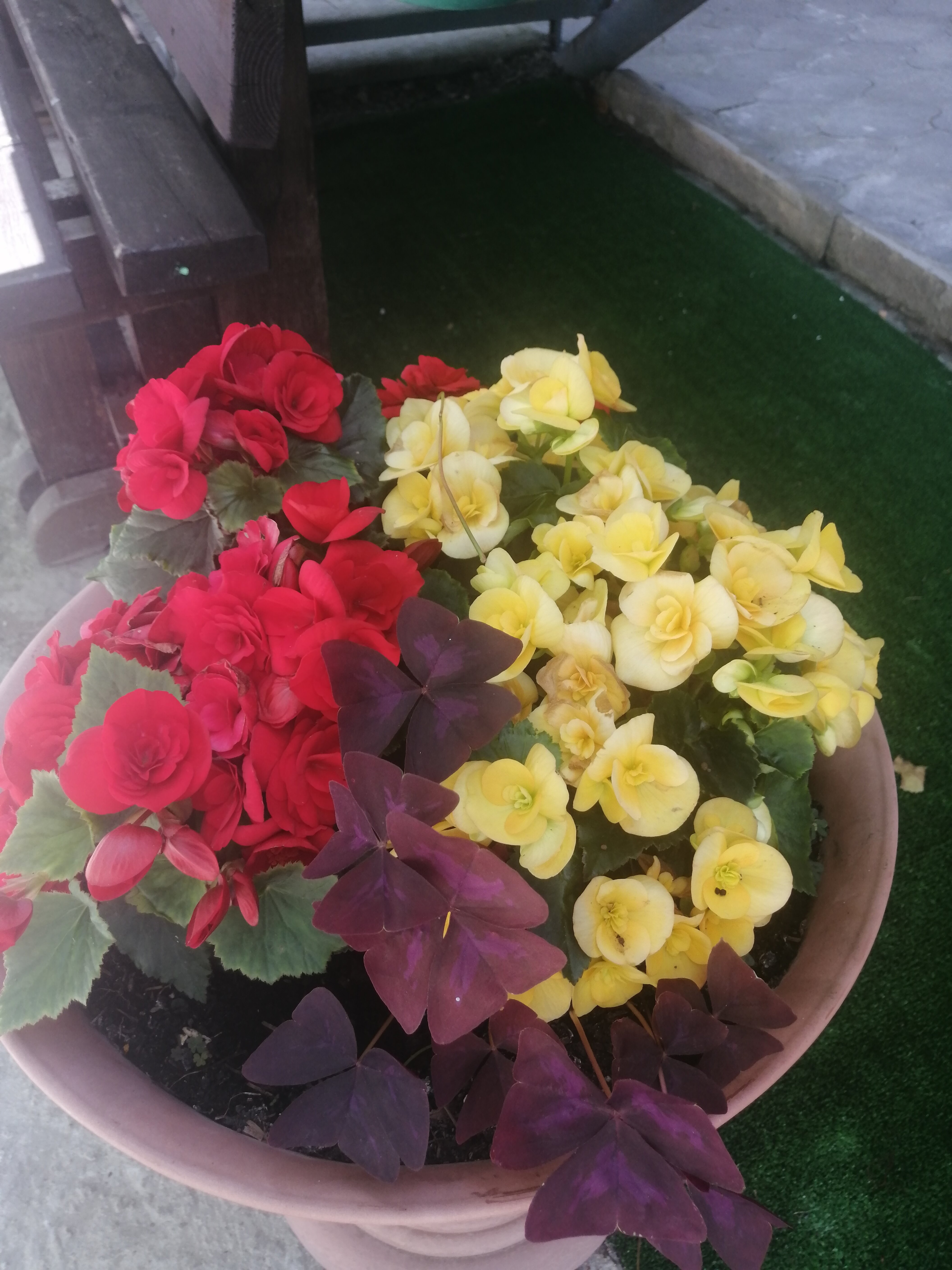 Фото Райский уголок